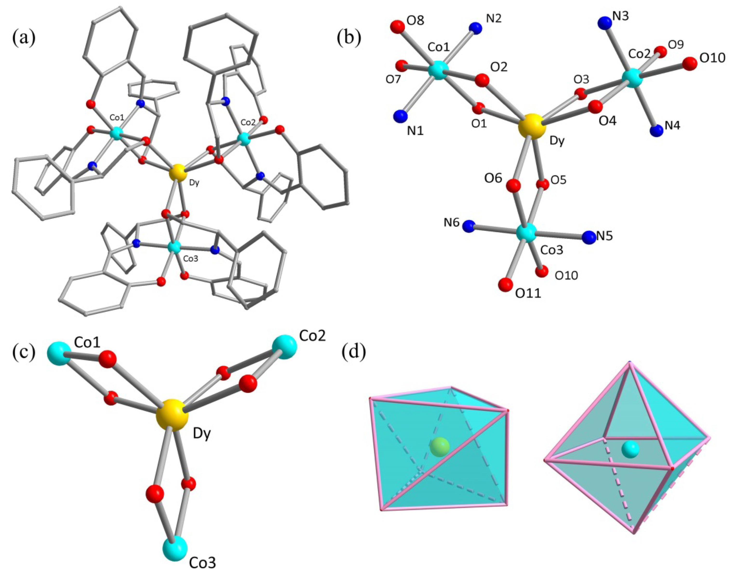 Molecules 29 03304 g001