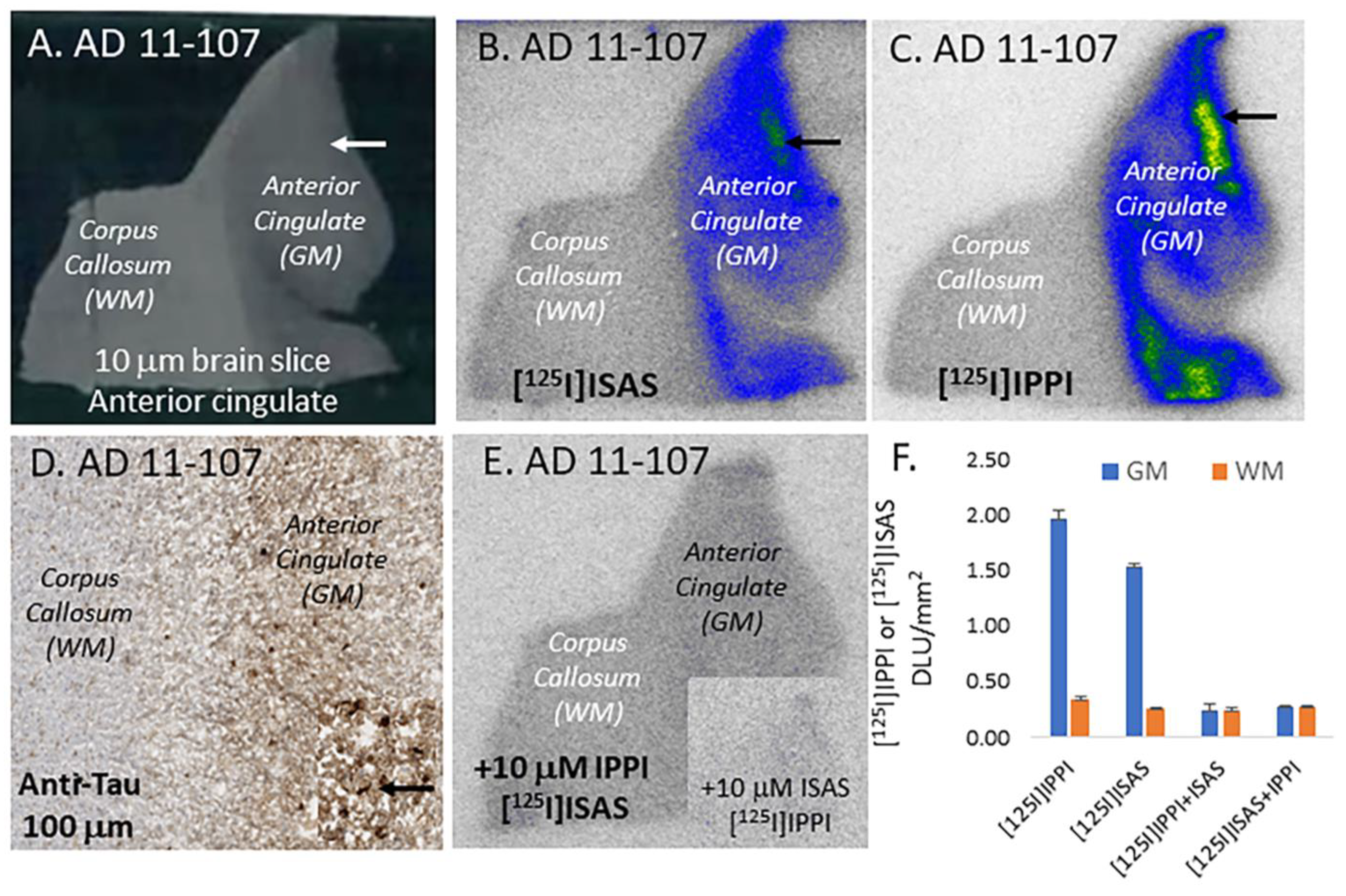 Molecules 29 03308 g005