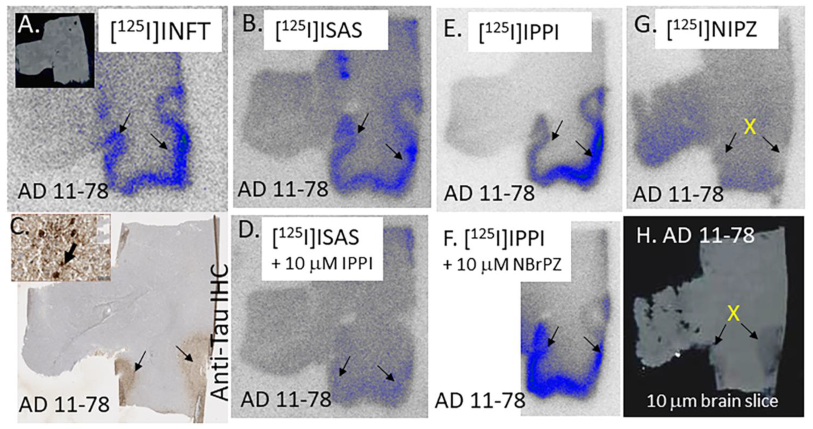 Molecules 29 03308 g006