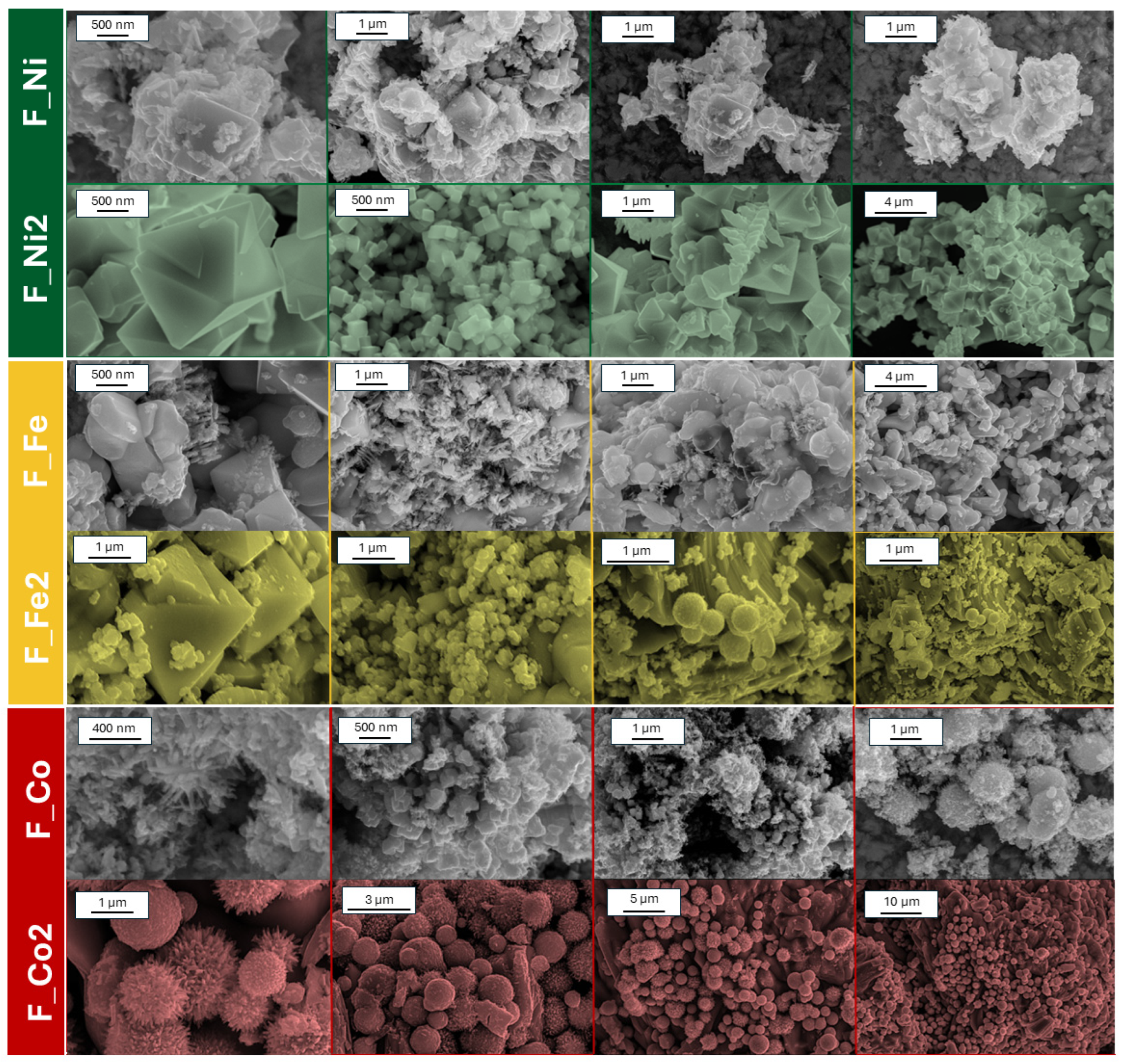 Molecules 29 03310 g003