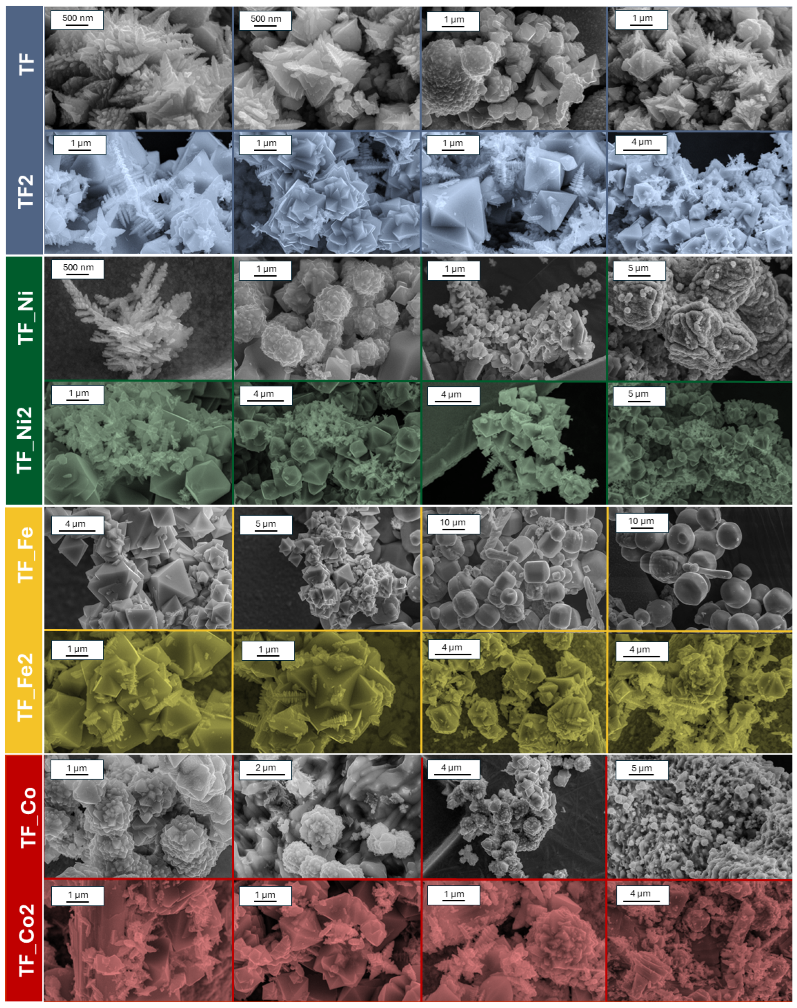 Molecules 29 03310 g004