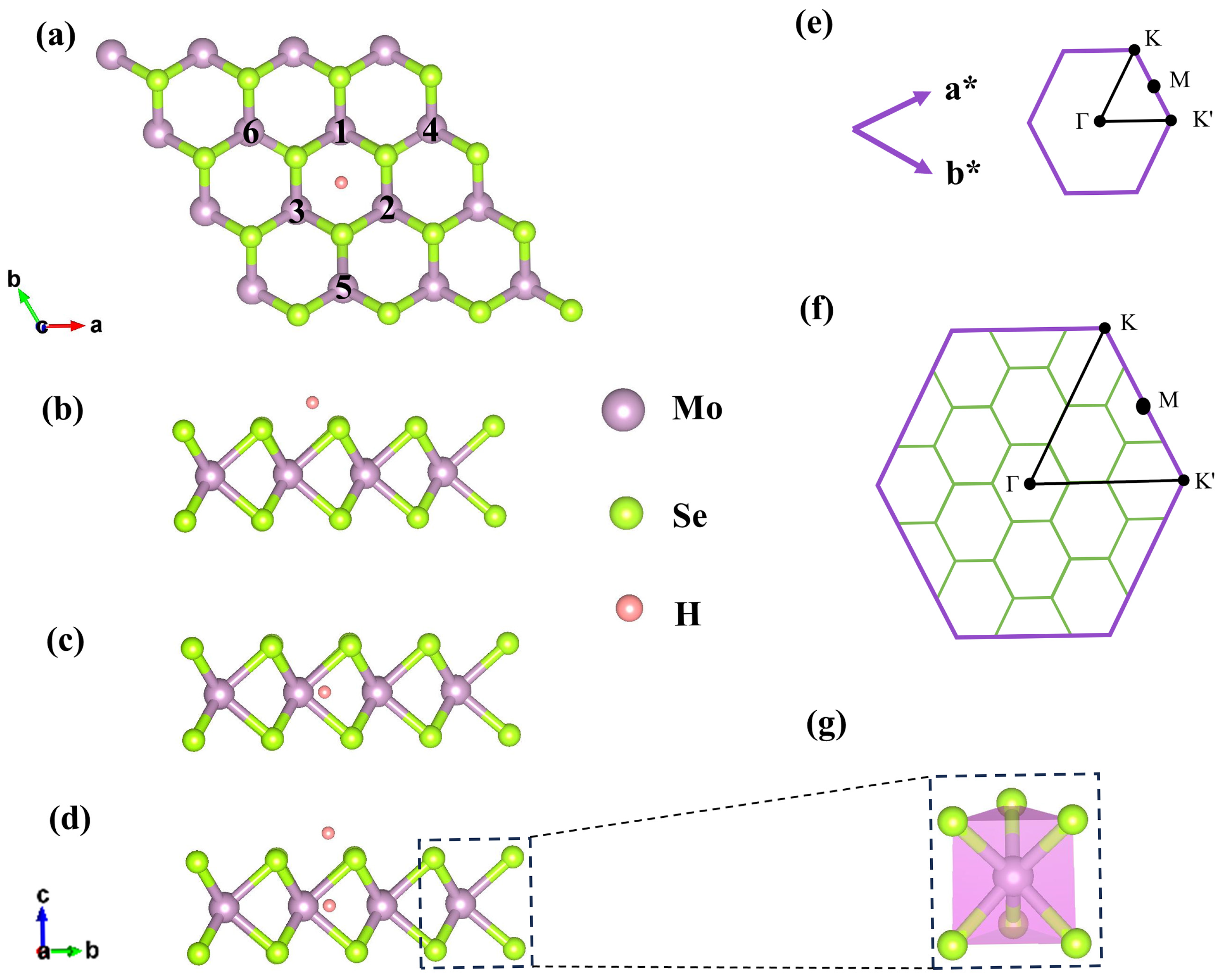 Molecules 29 03311 g001