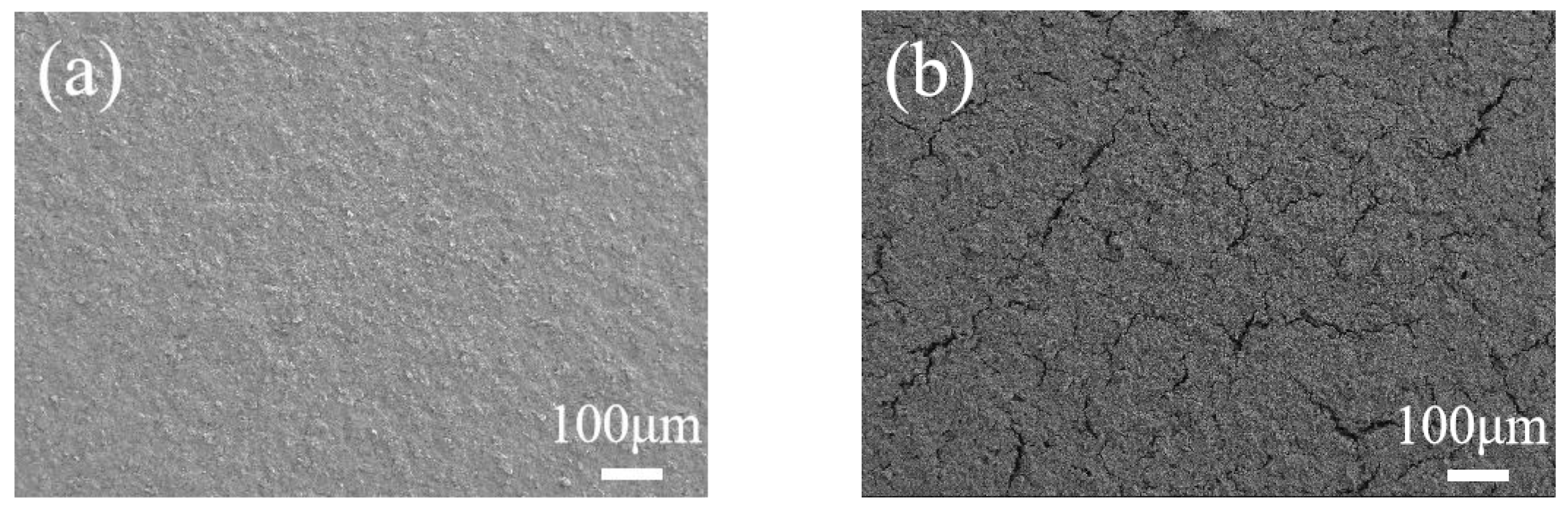 Molecules 29 03316 g006