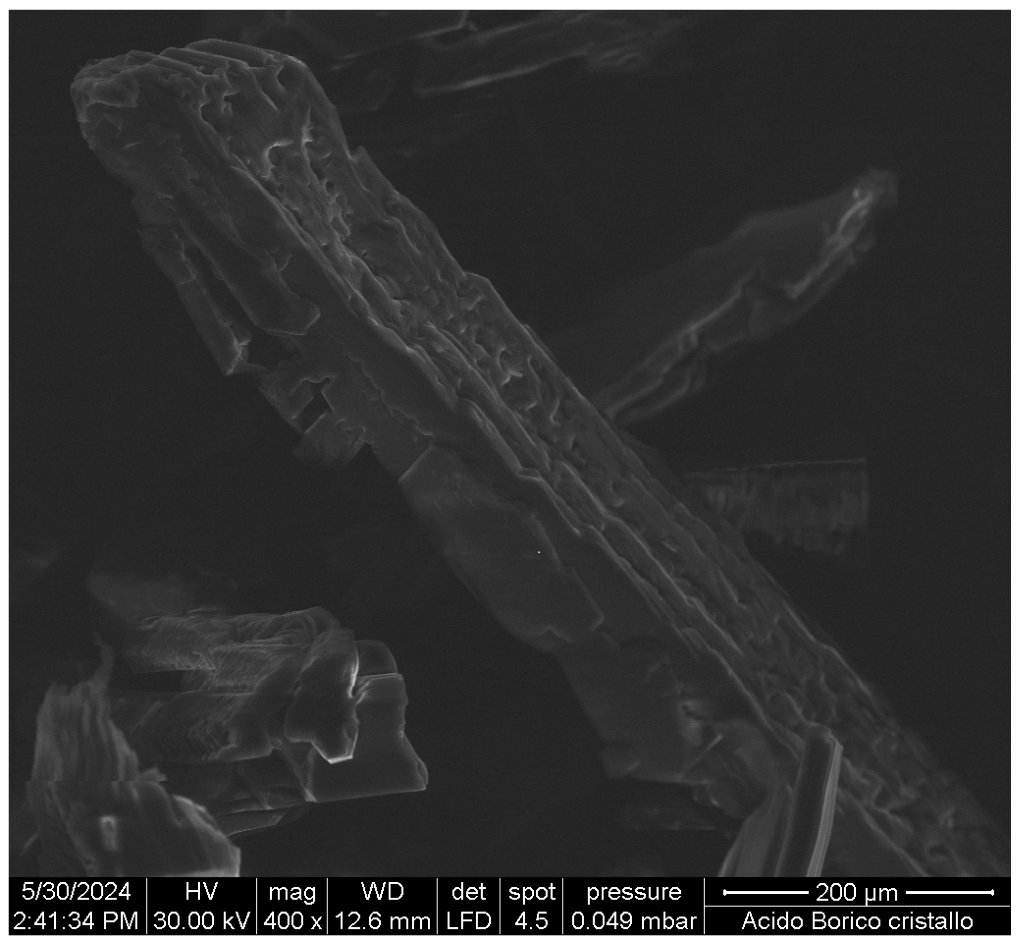 Molecules 29 03324 g002