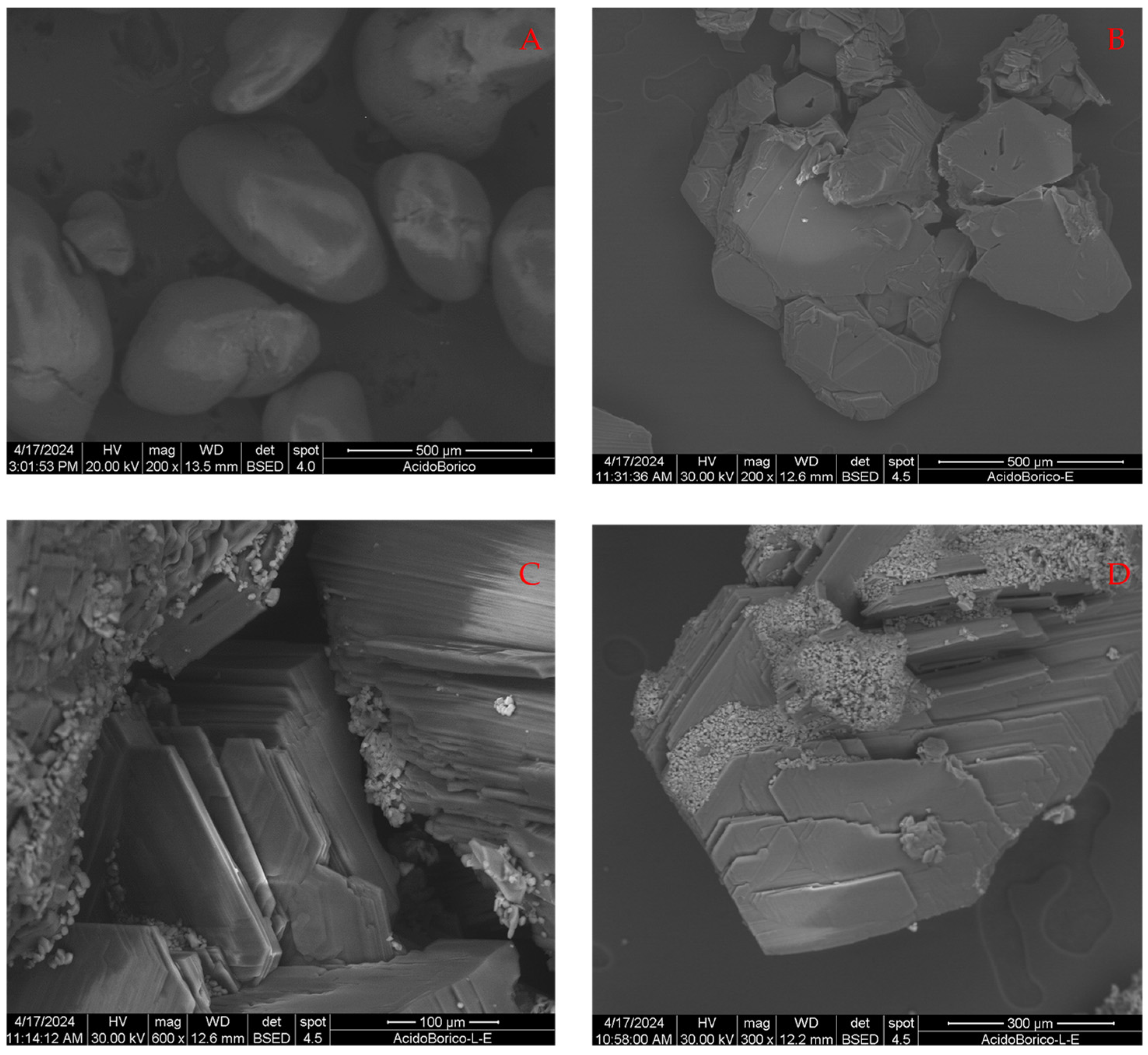 Molecules 29 03324 g003