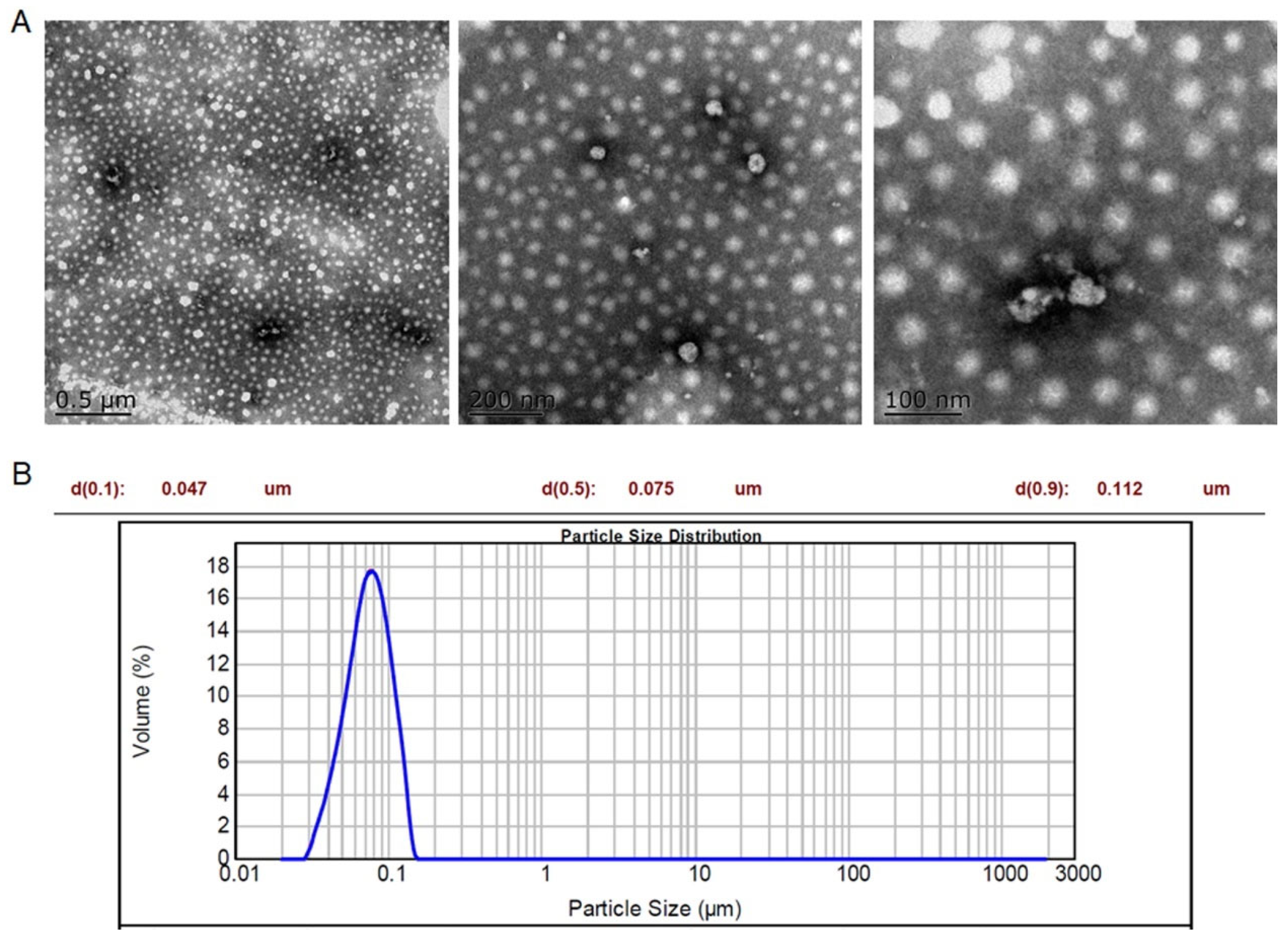 Molecules 29 03326 g002