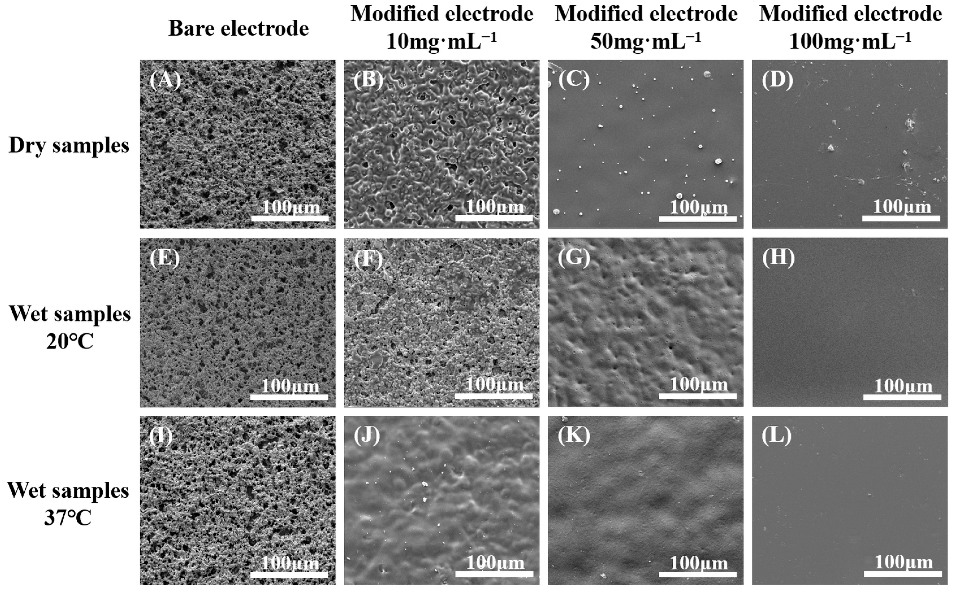Molecules 29 03327 g004