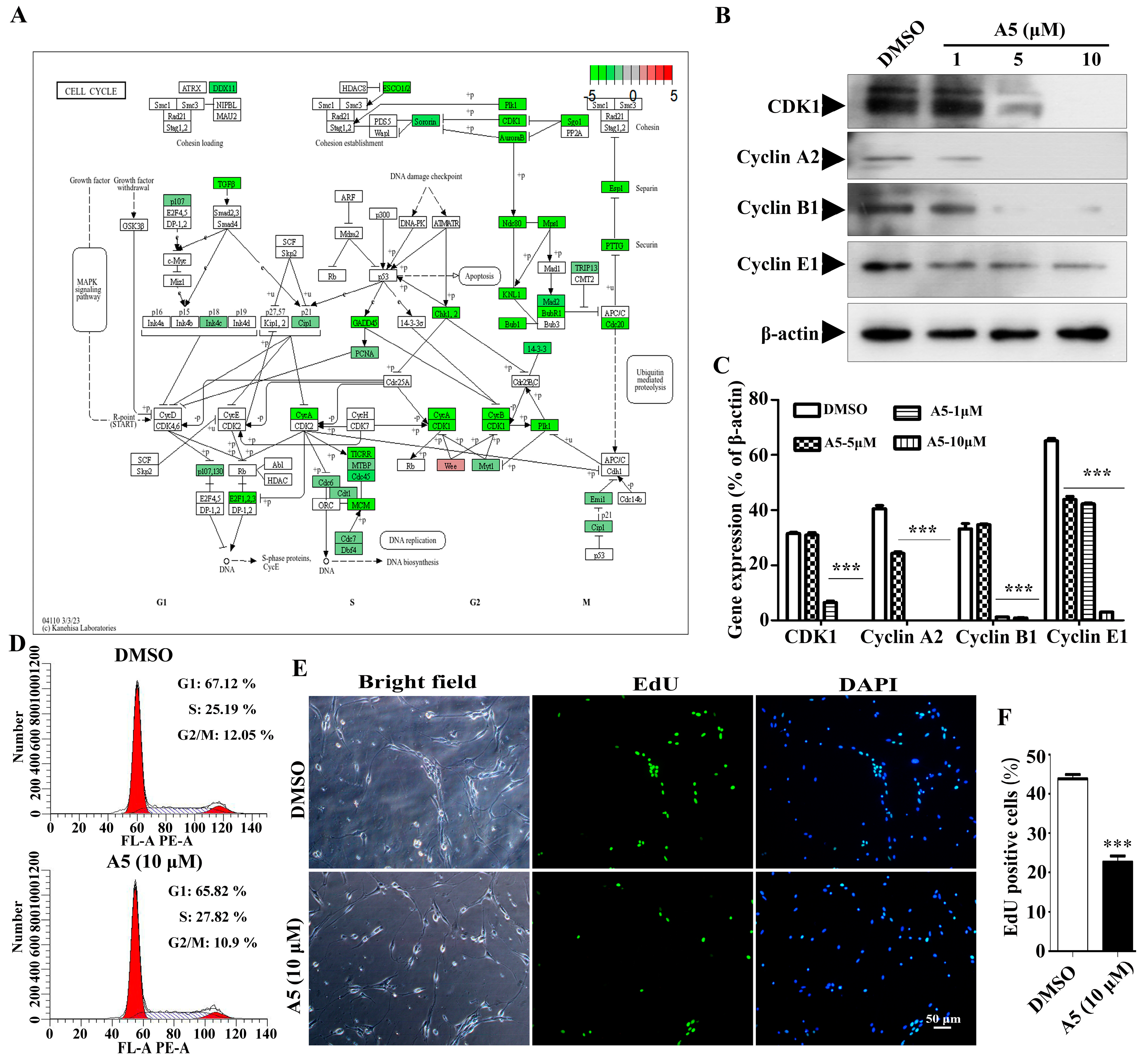 Molecules 29 03330 g005
