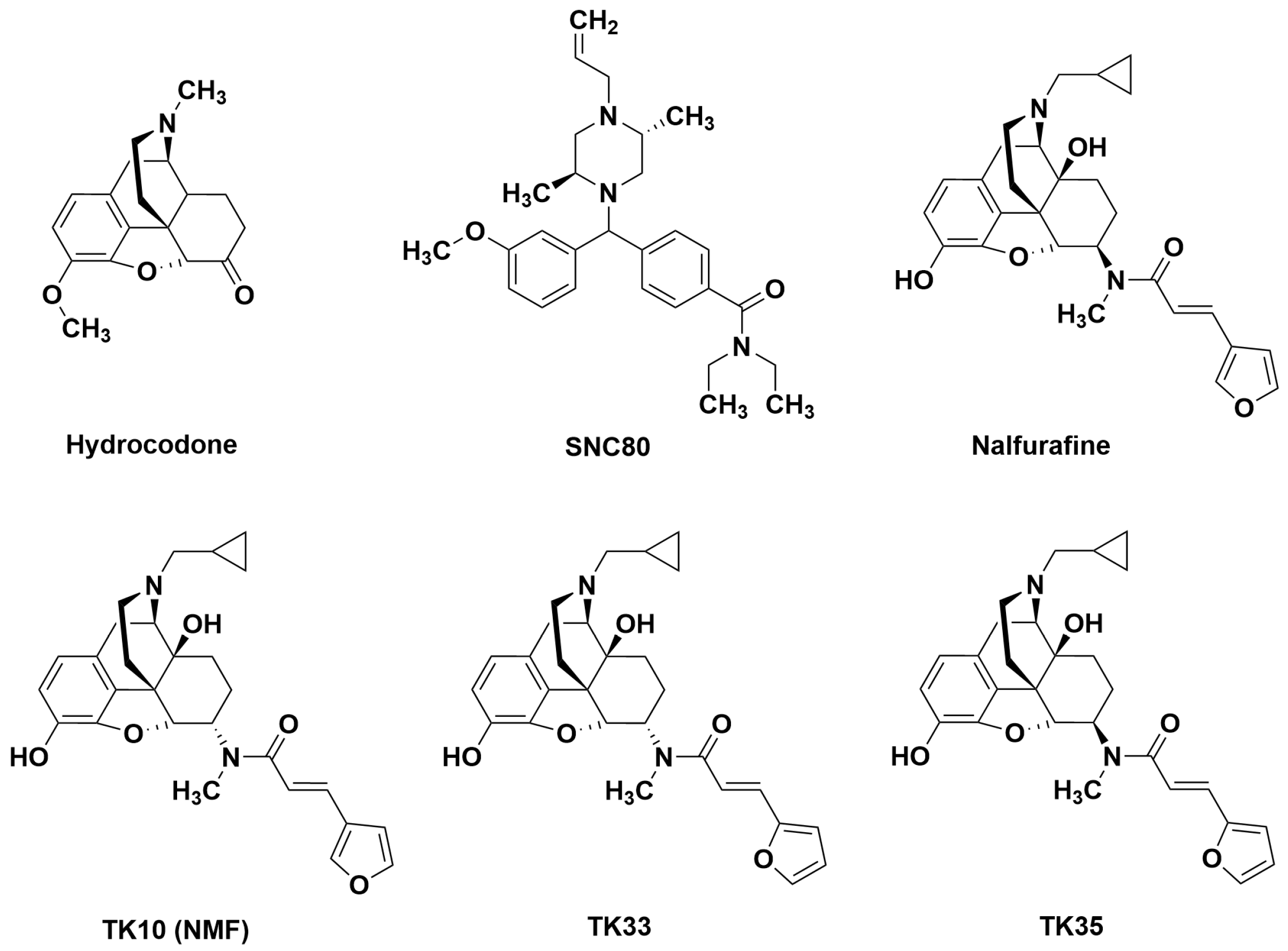 Molecules 29 03331 g001