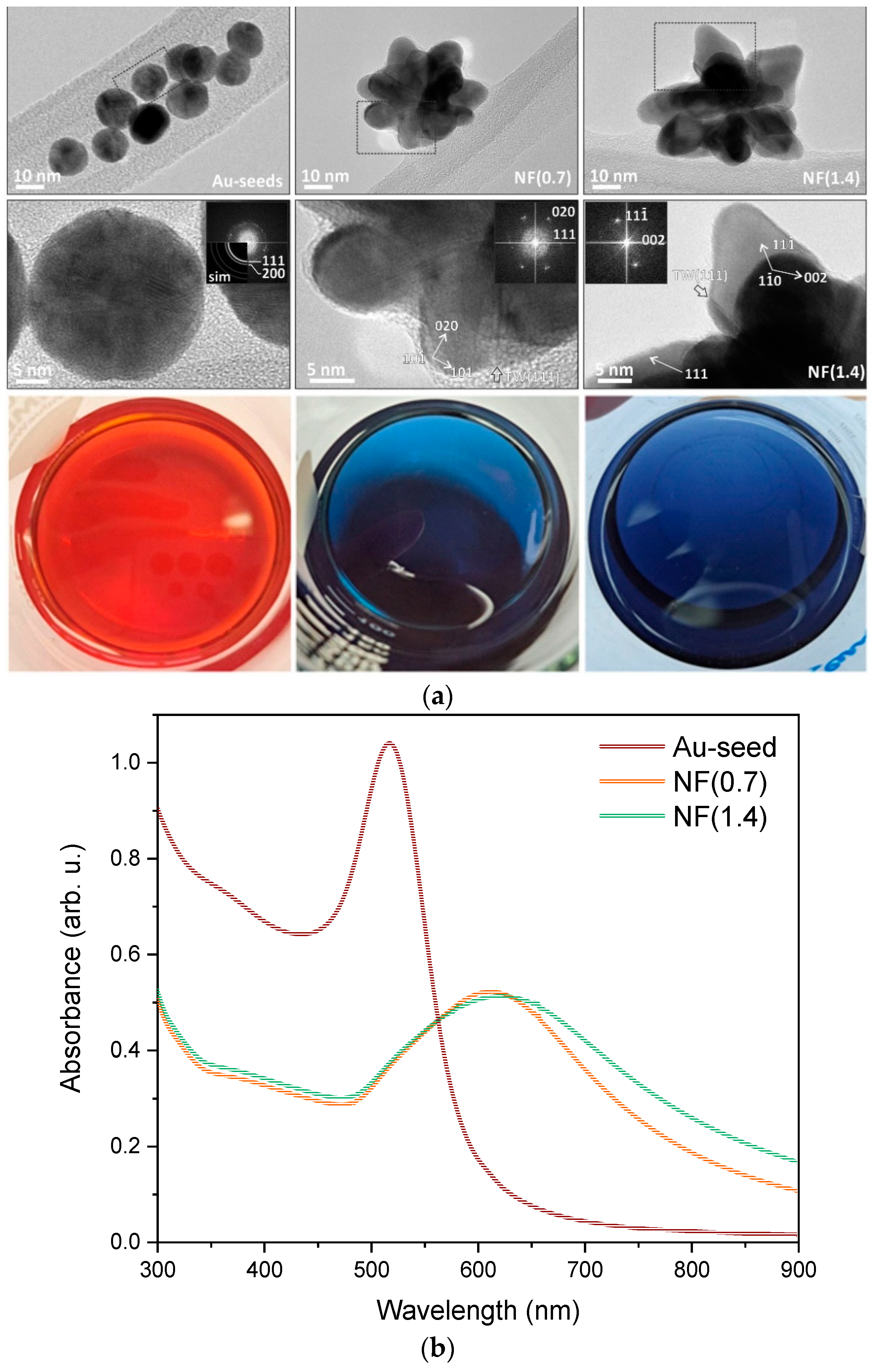 Molecules 29 03333 g001