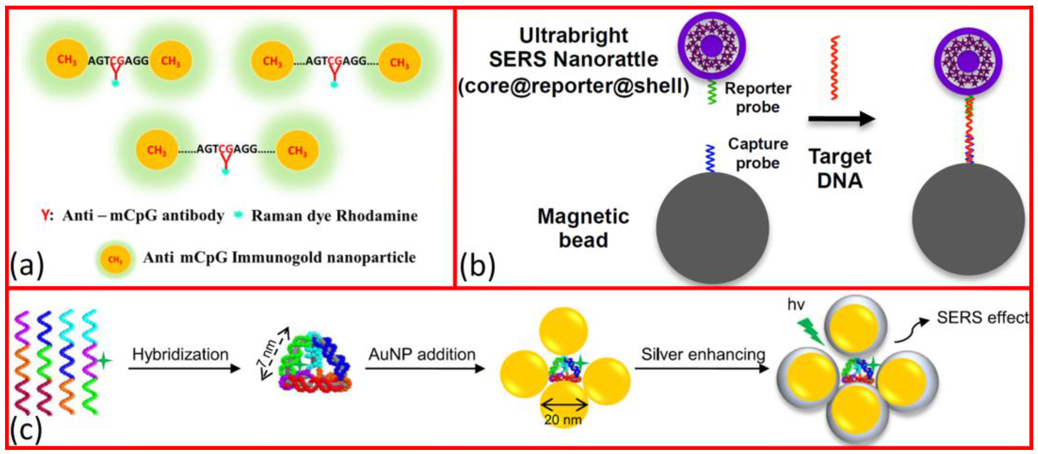 Molecules 29 03338 g002 Molecules 29 03338 g002