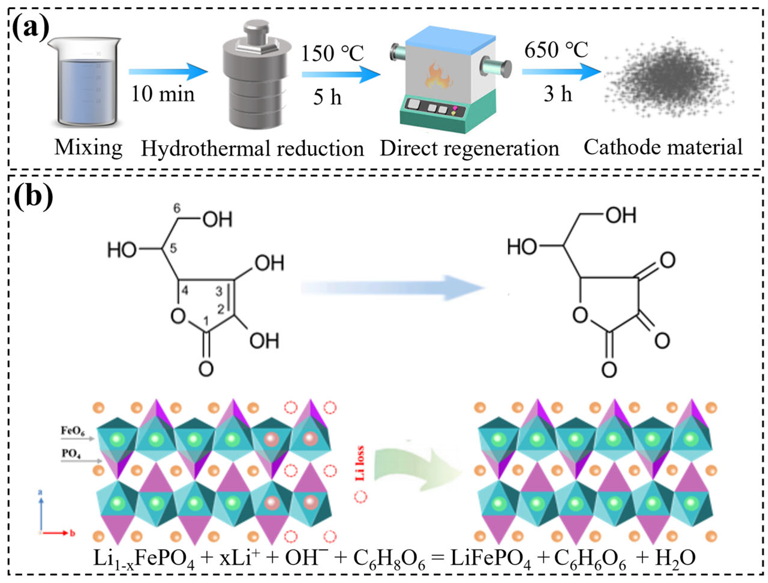 Molecules 29 03340 g005
