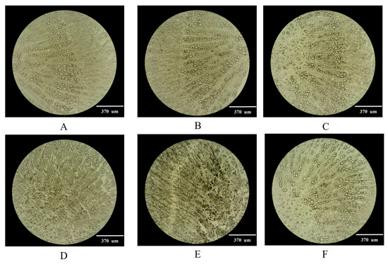 Study on the Anti-Inflammatory Mechanism of Coumarins in