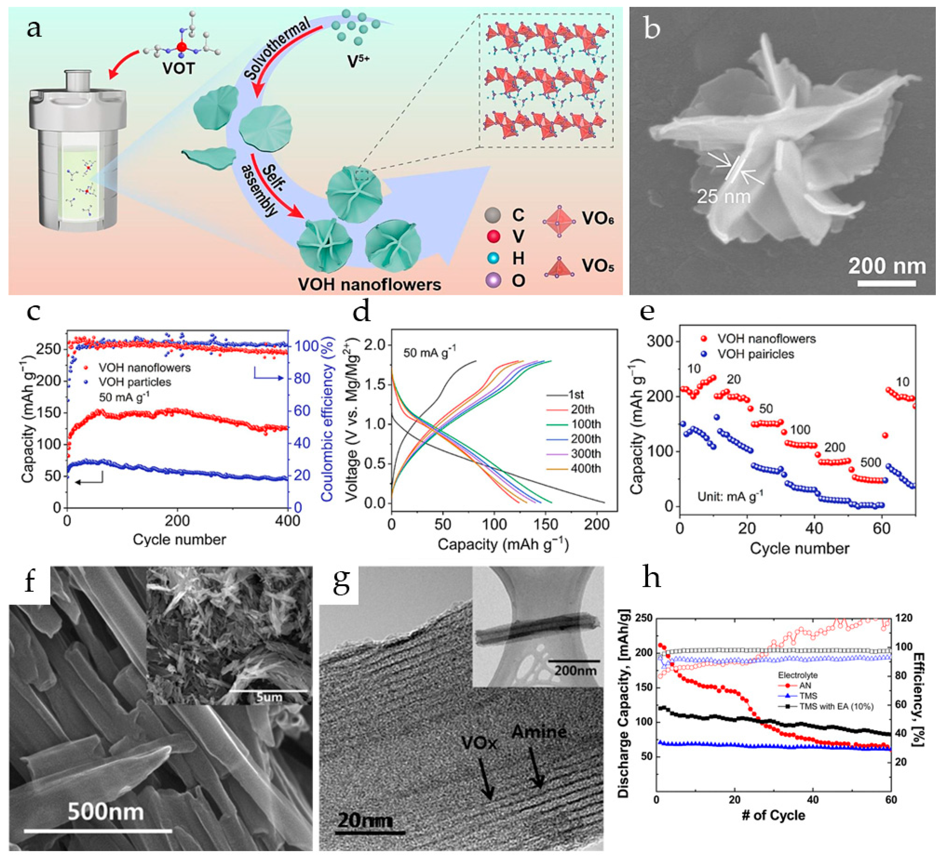 Molecules 29 03349 g003
