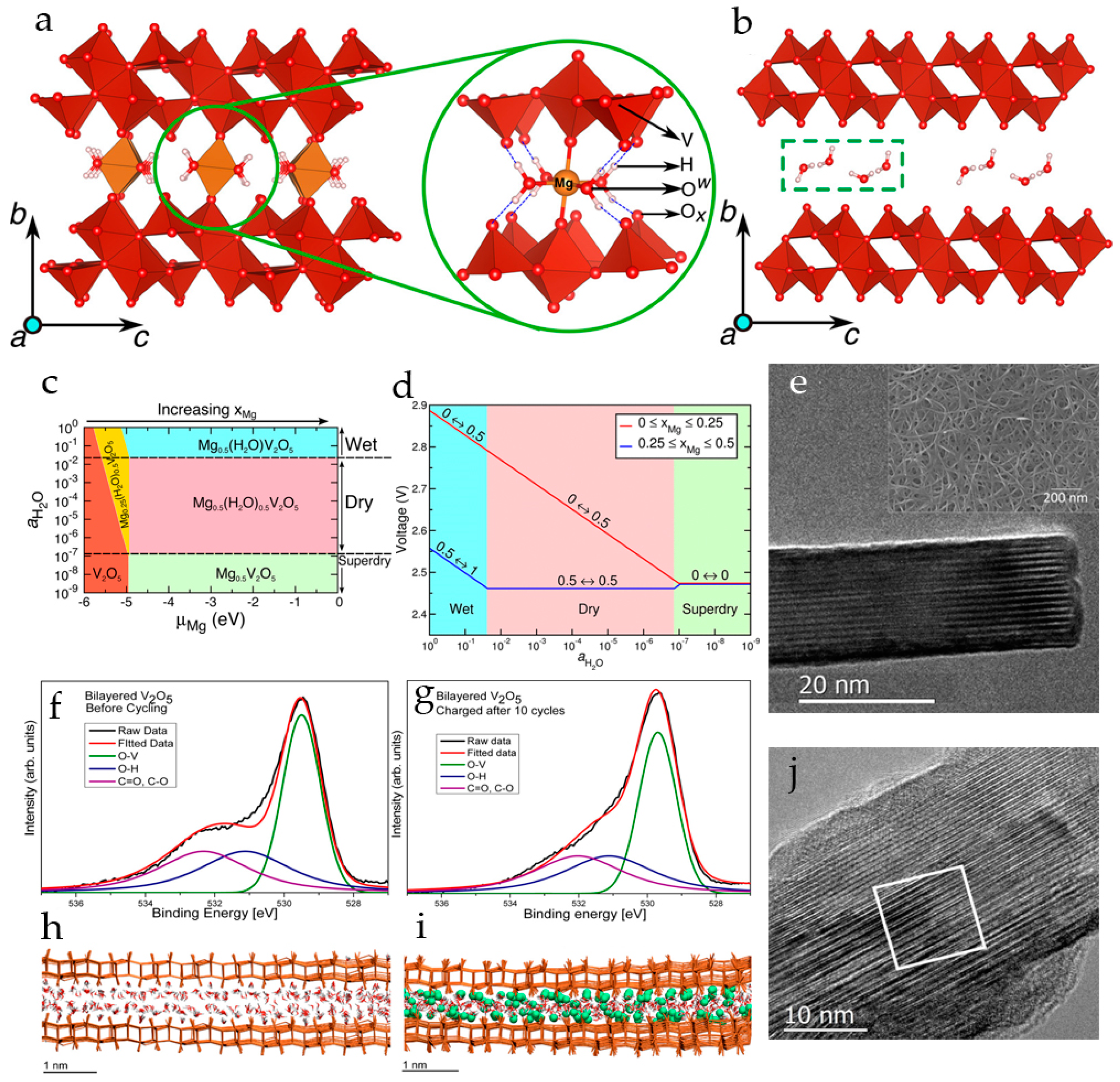 Molecules 29 03349 g004