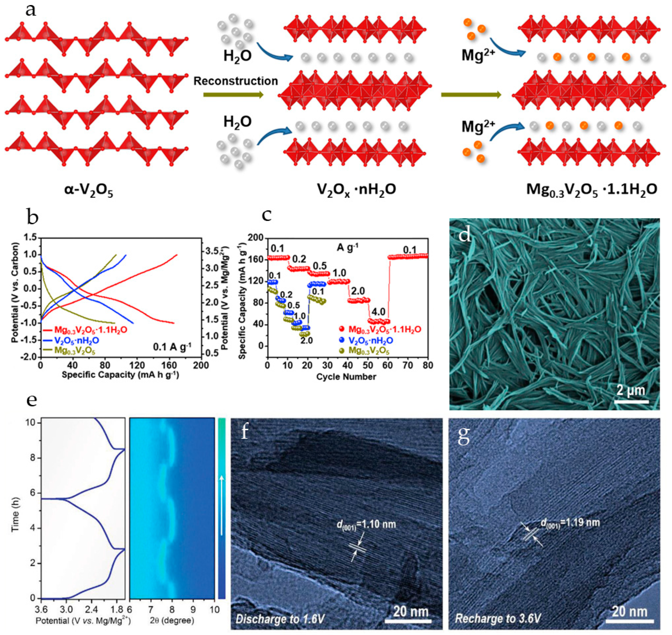 Molecules 29 03349 g007