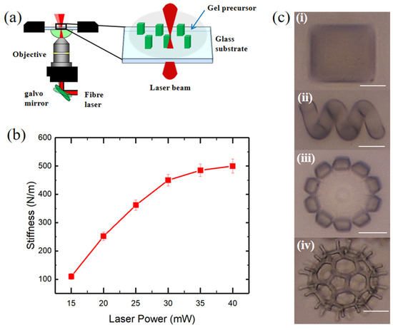Multifunctional Hydrogel with 3D Printability, Fluorescence ...