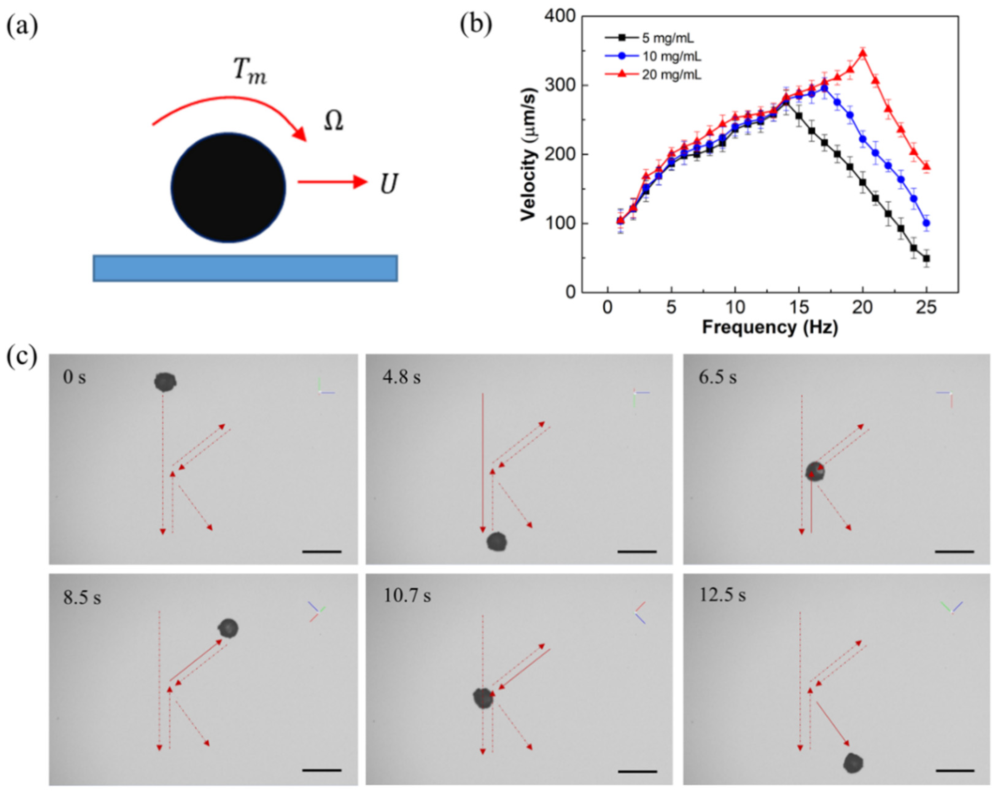 Molecules 29 03351 g006