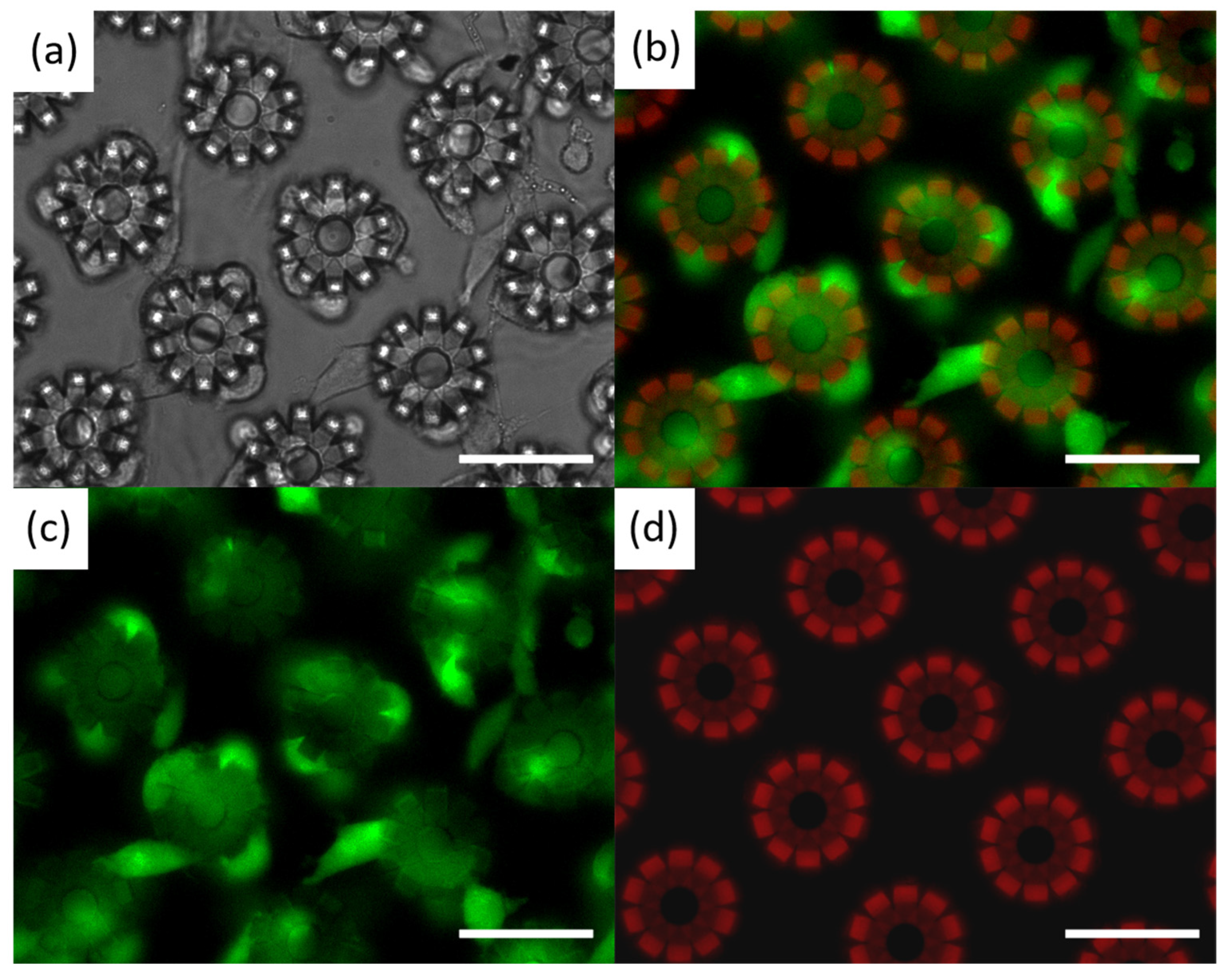 Molecules 29 03351 g009