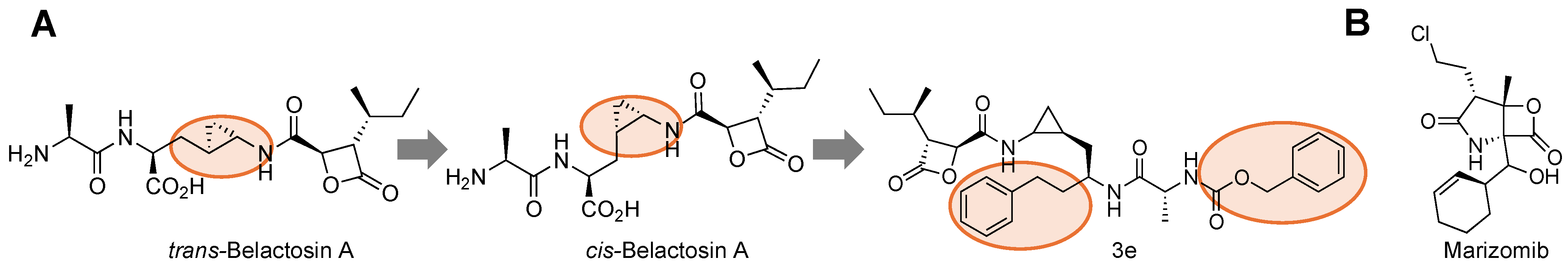 Molecules 29 03356 g007