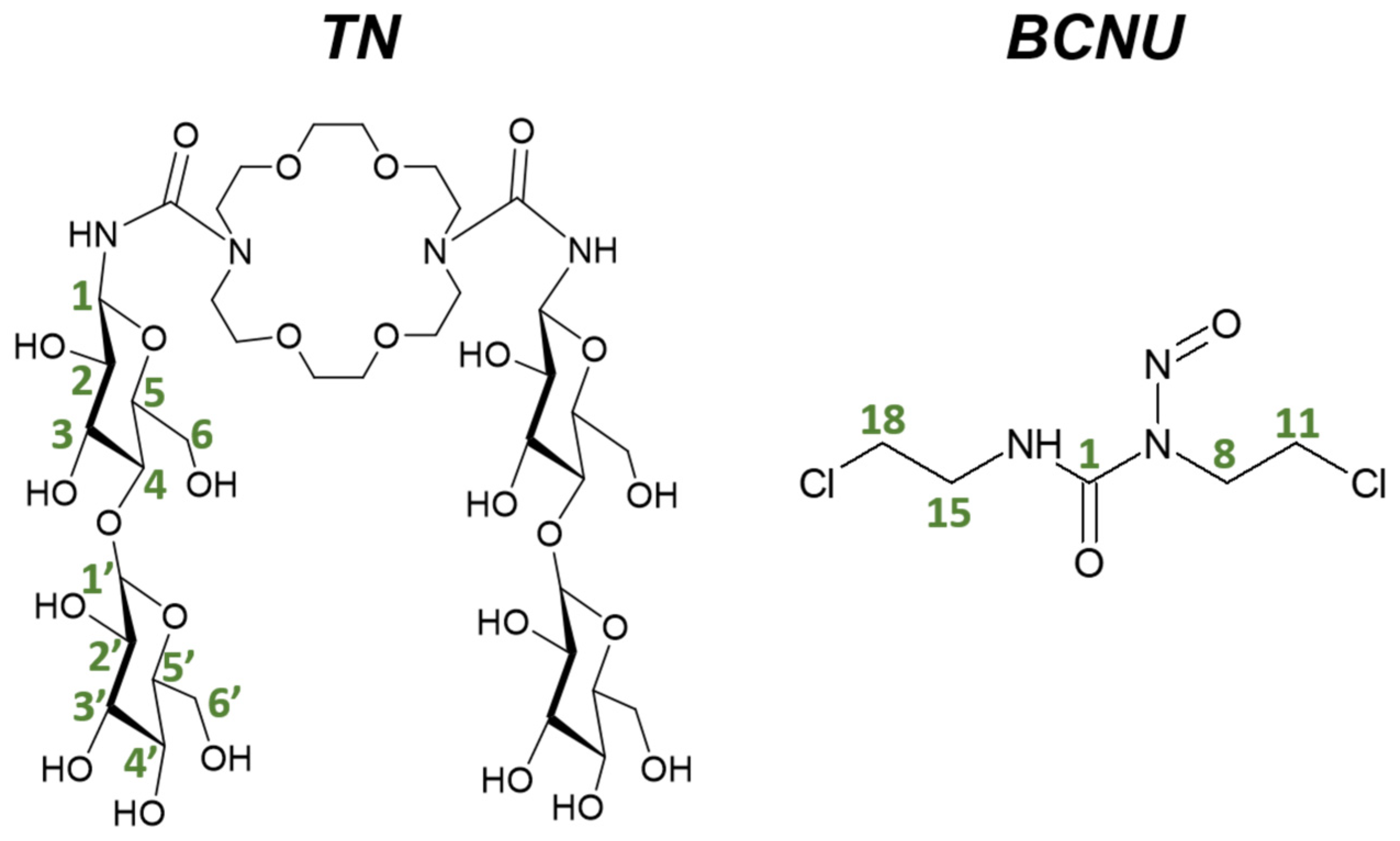 Molecules 29 03359 g001