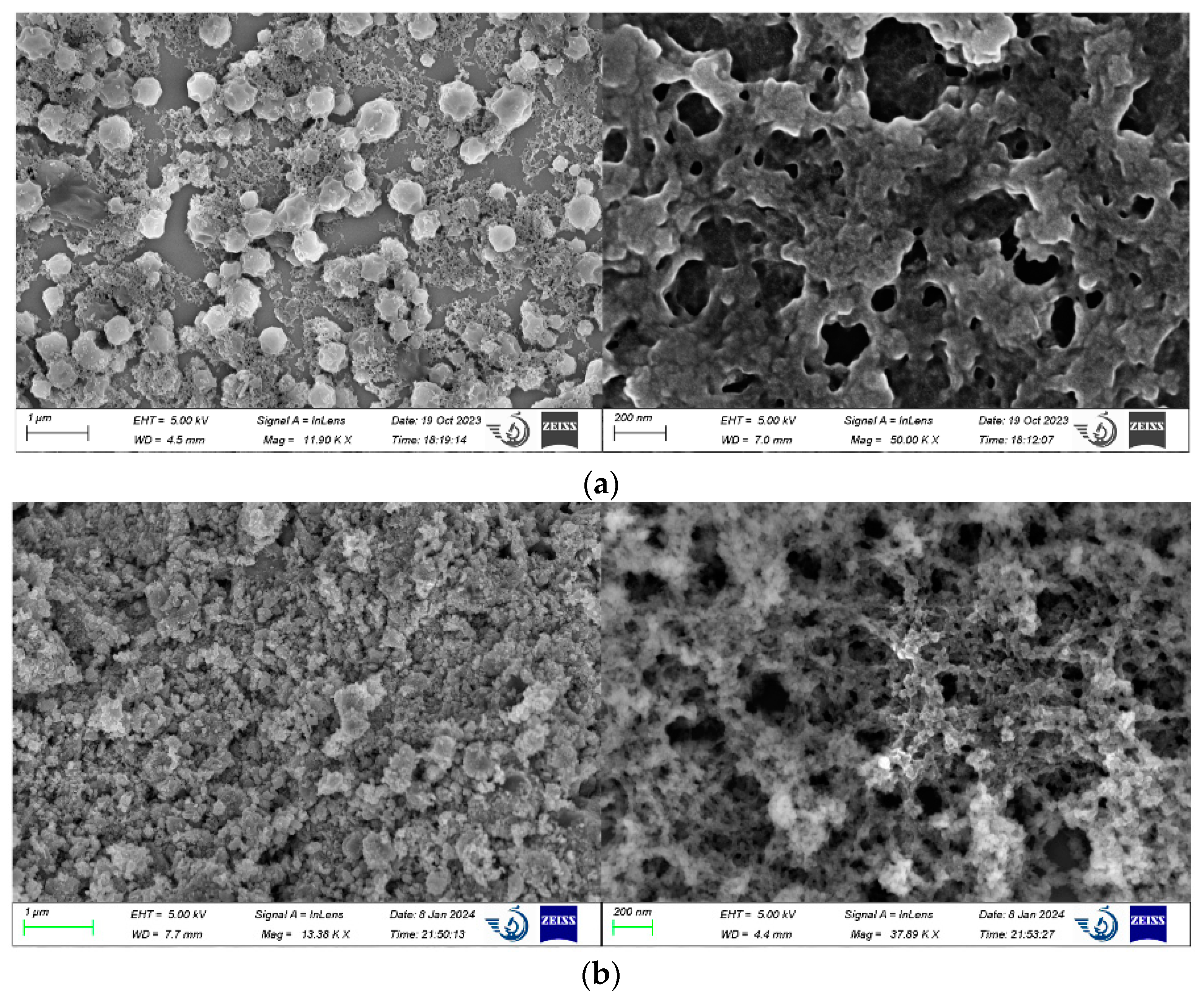 Molecules 29 03365 g004
