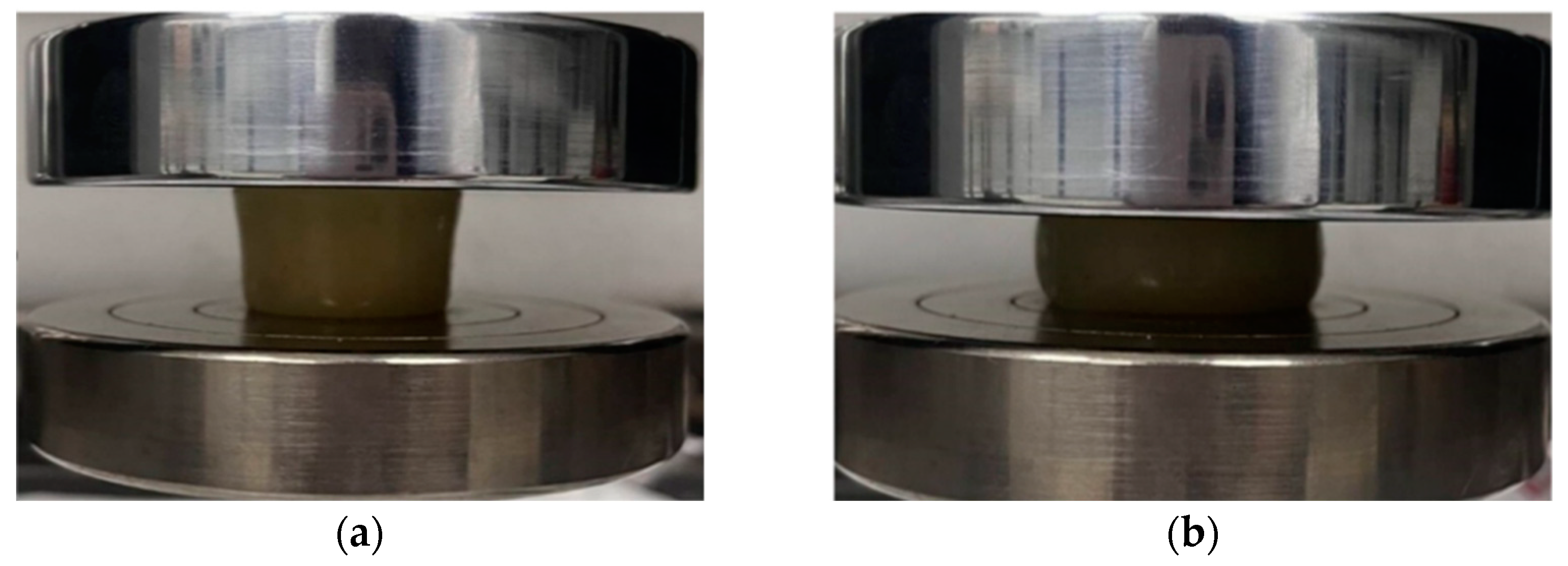 Molecules 29 03365 g010