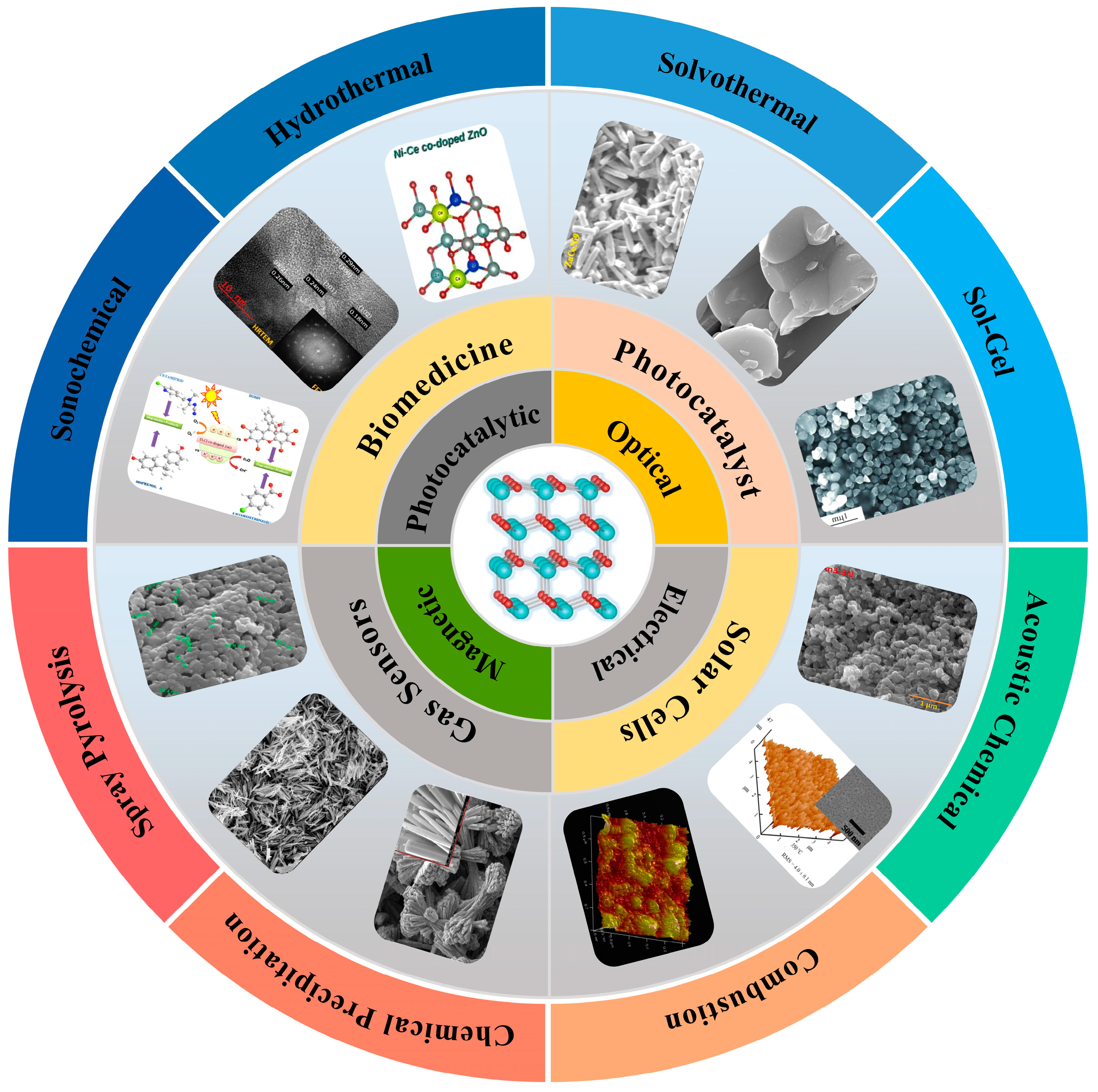 Molecules 29 03373 g001