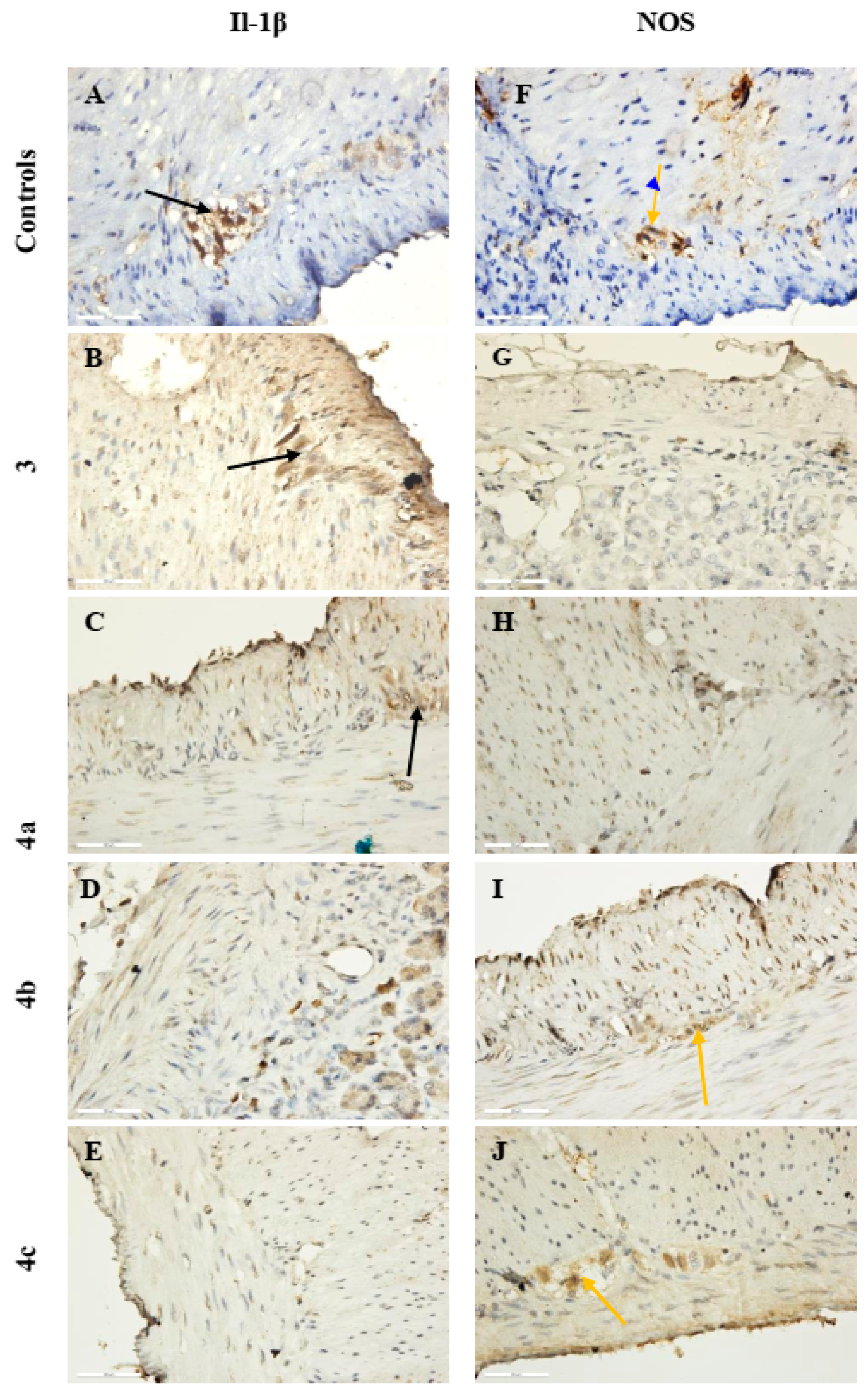 Molecules 29 03375 g004 Molecules 29 03375 g004