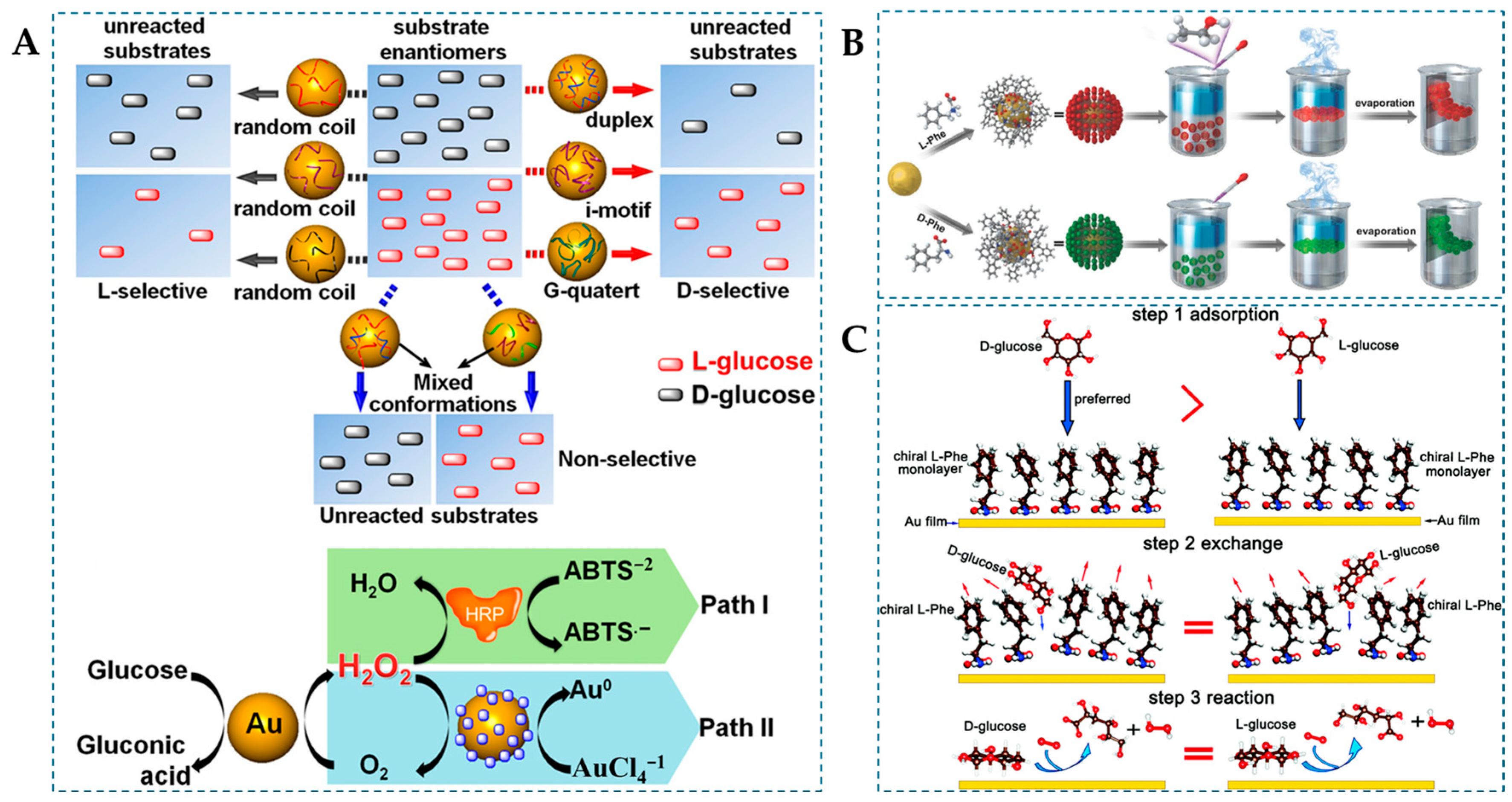 Molecules 29 03376 g003