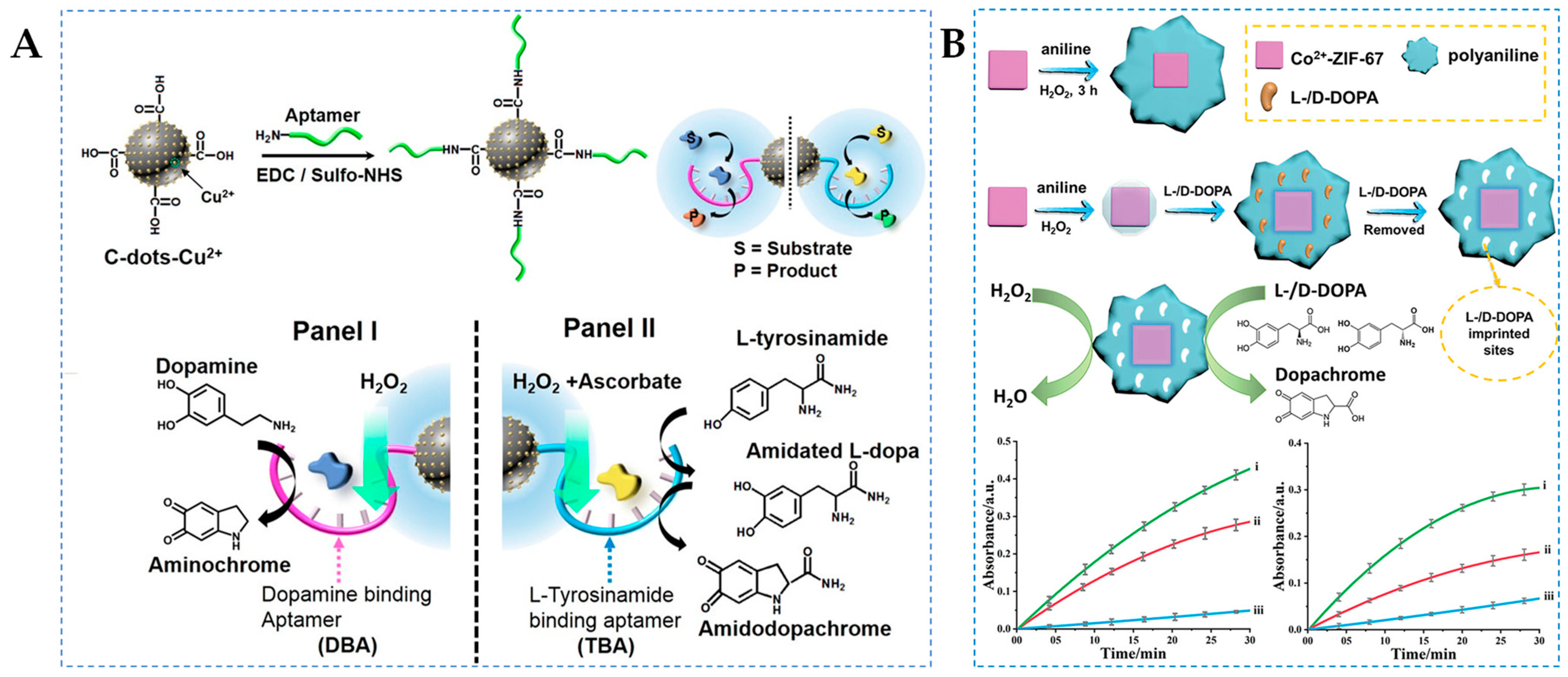 Molecules 29 03376 g005