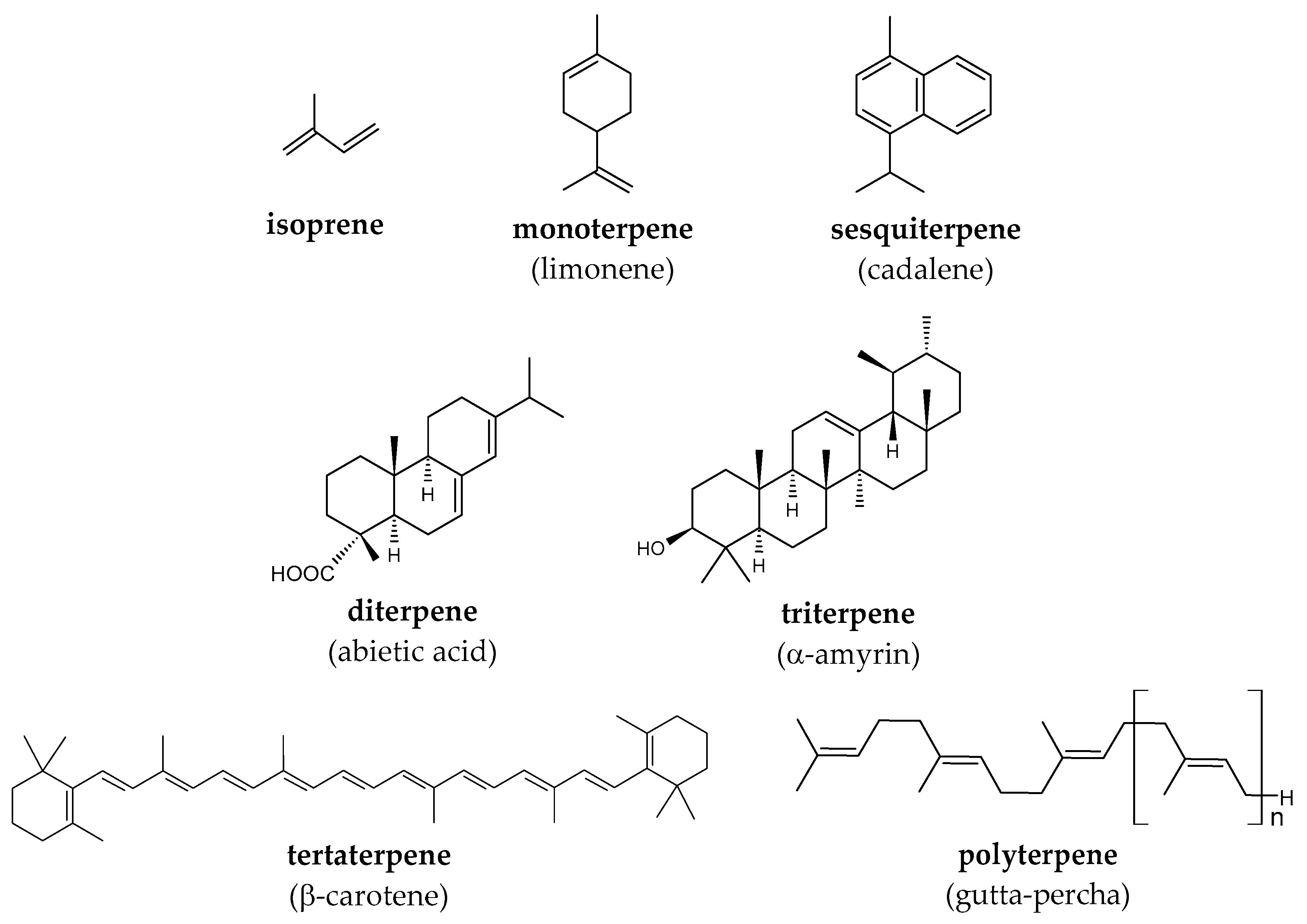 Molecules 29 03378 g001 Molecules 29 03378 g001