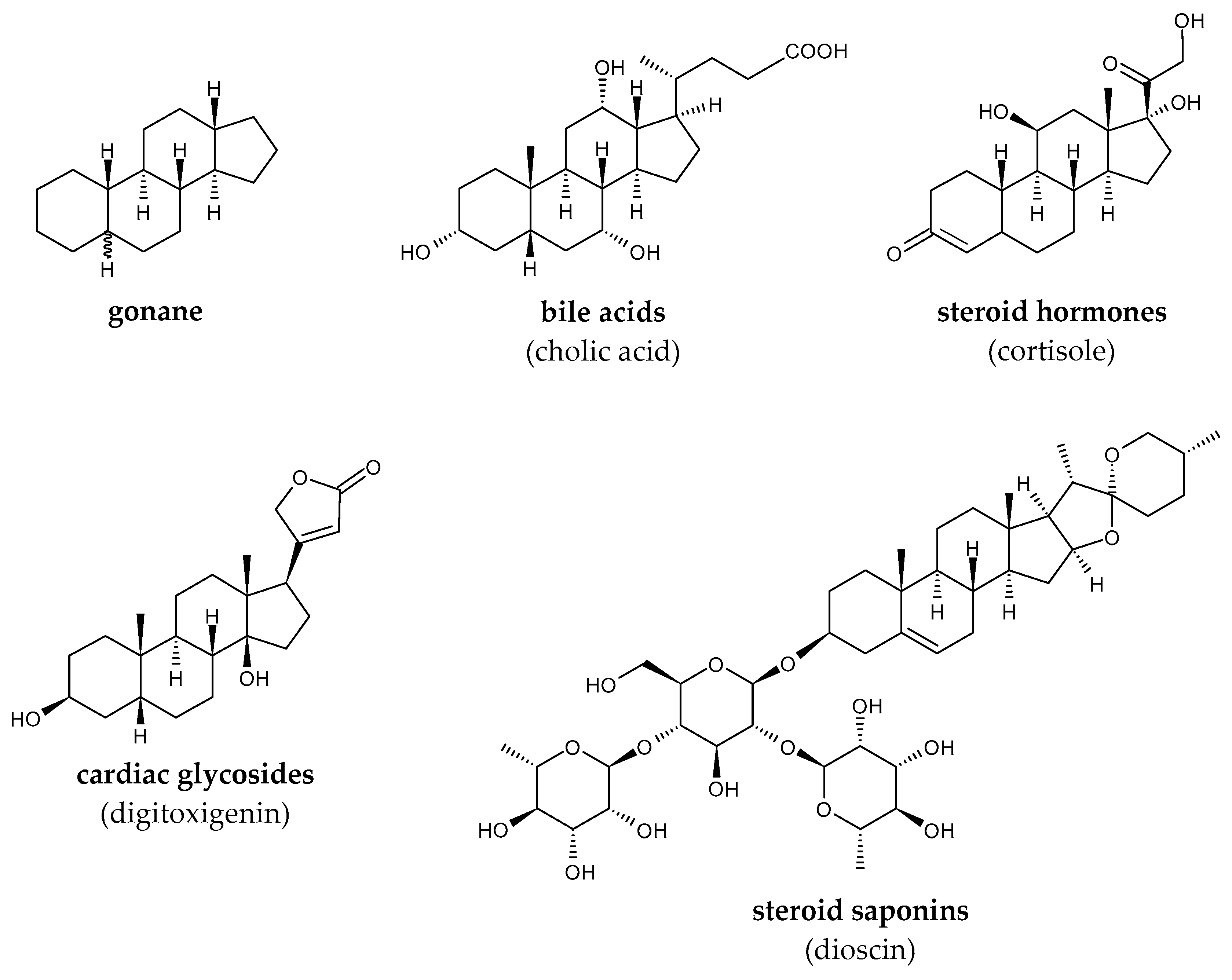 Molecules 29 03378 g012 Molecules 29 03378 g012