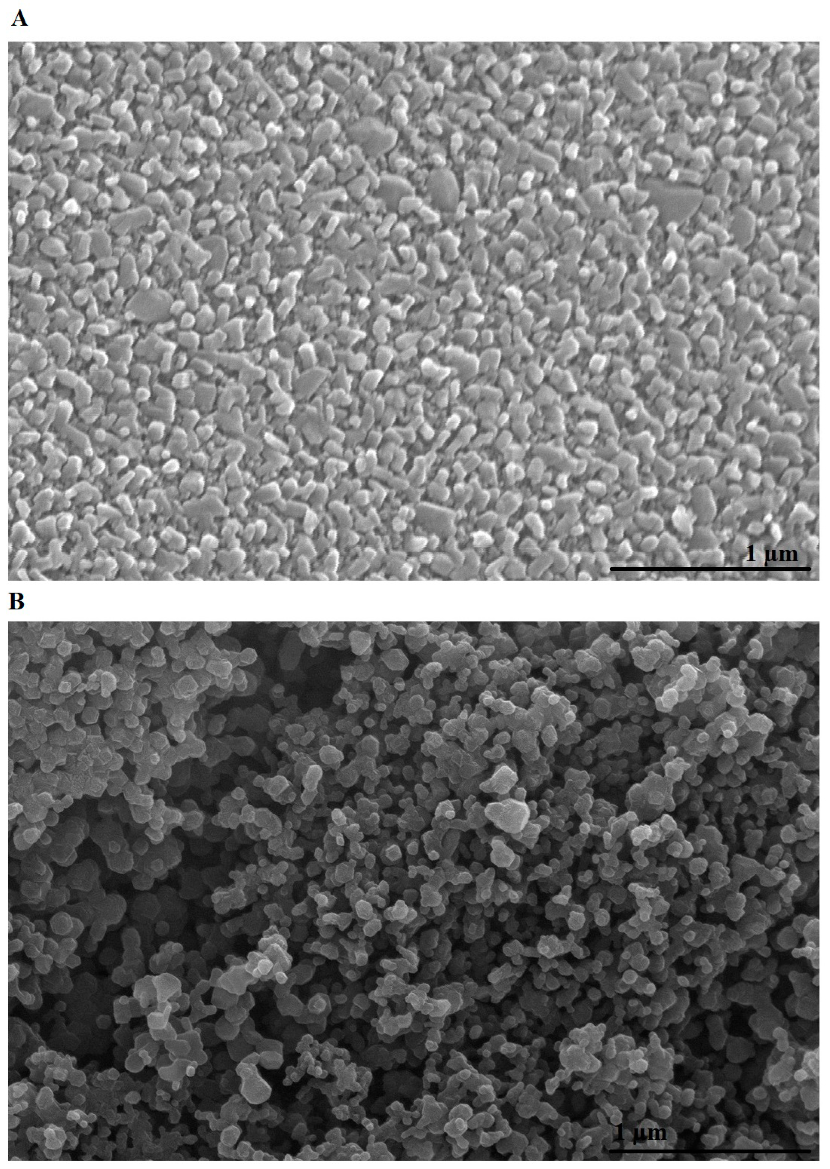 Molecules 29 03392 g004