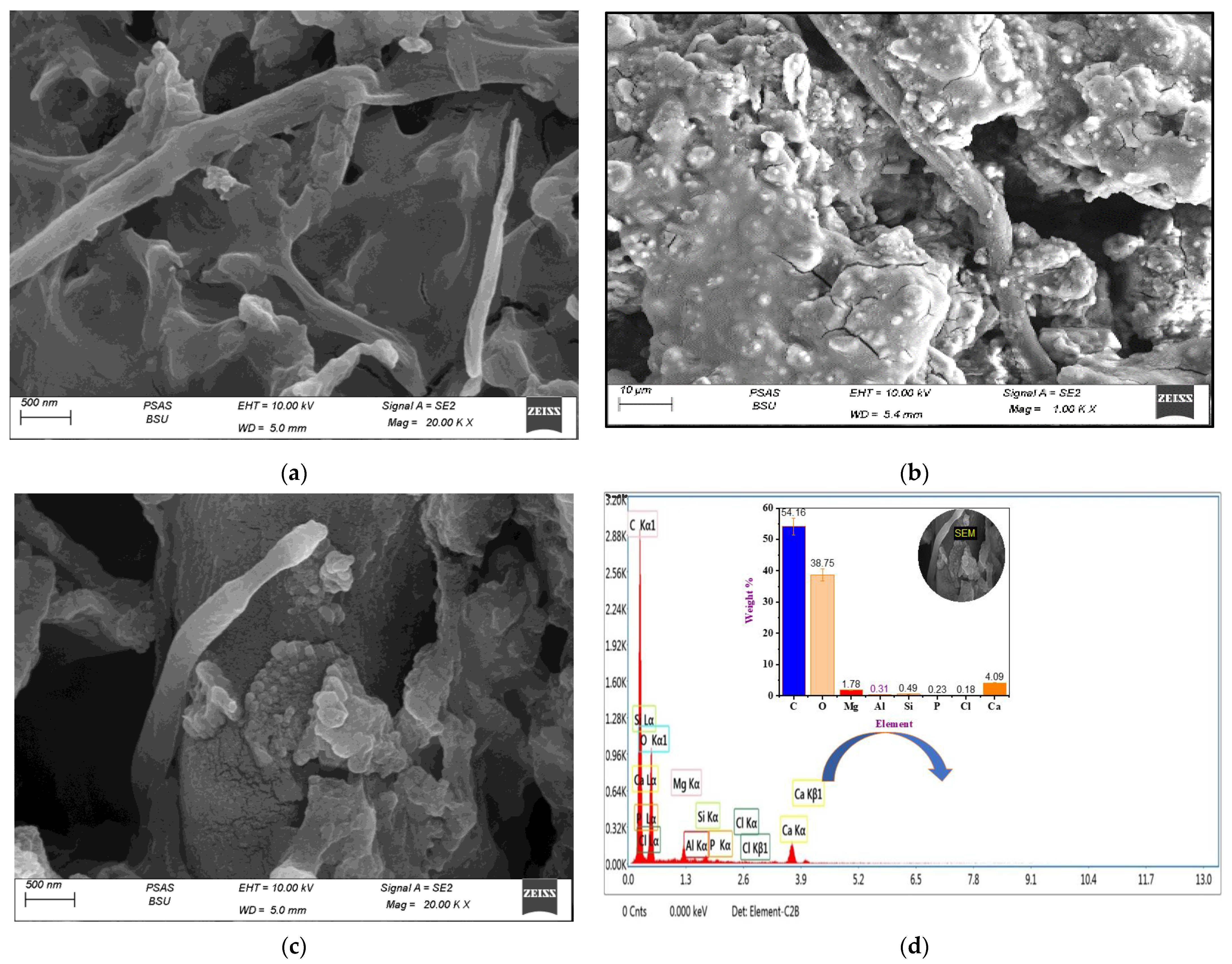 Molecules 29 03394 g003