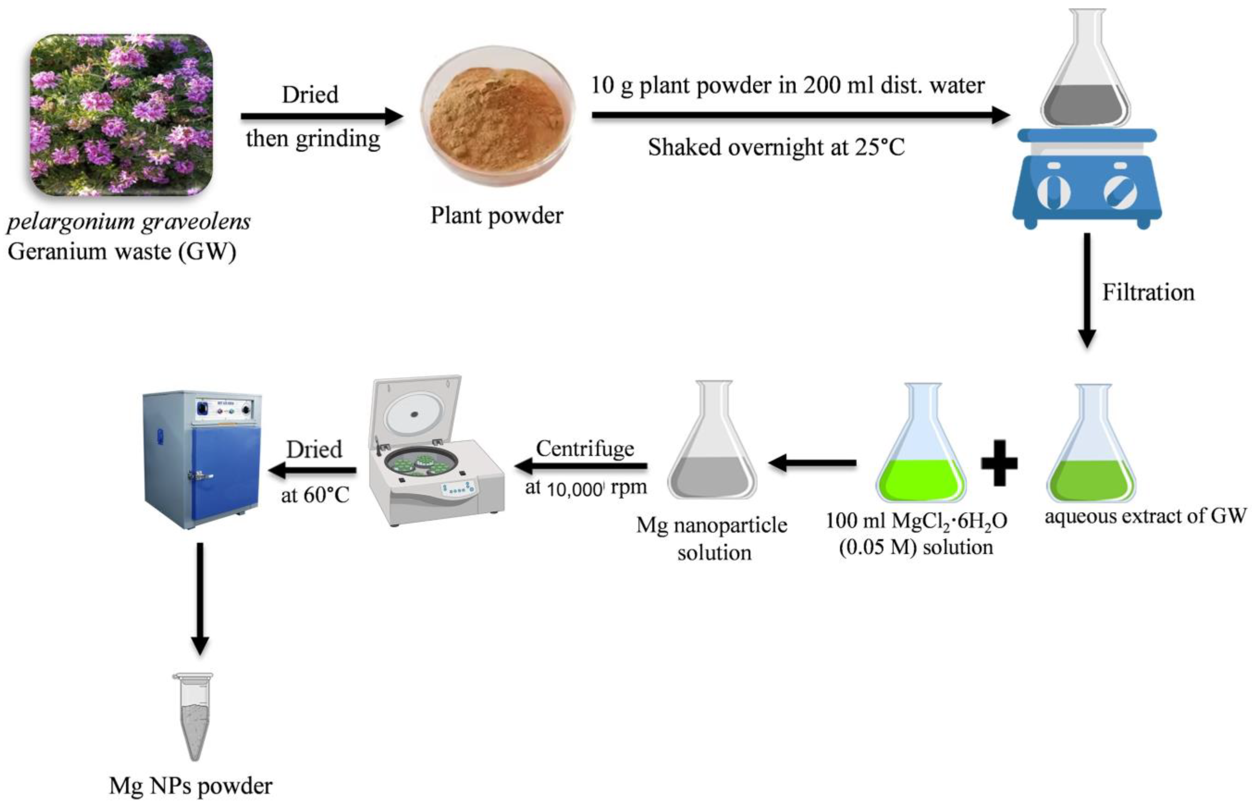 Molecules 29 03394 sch002