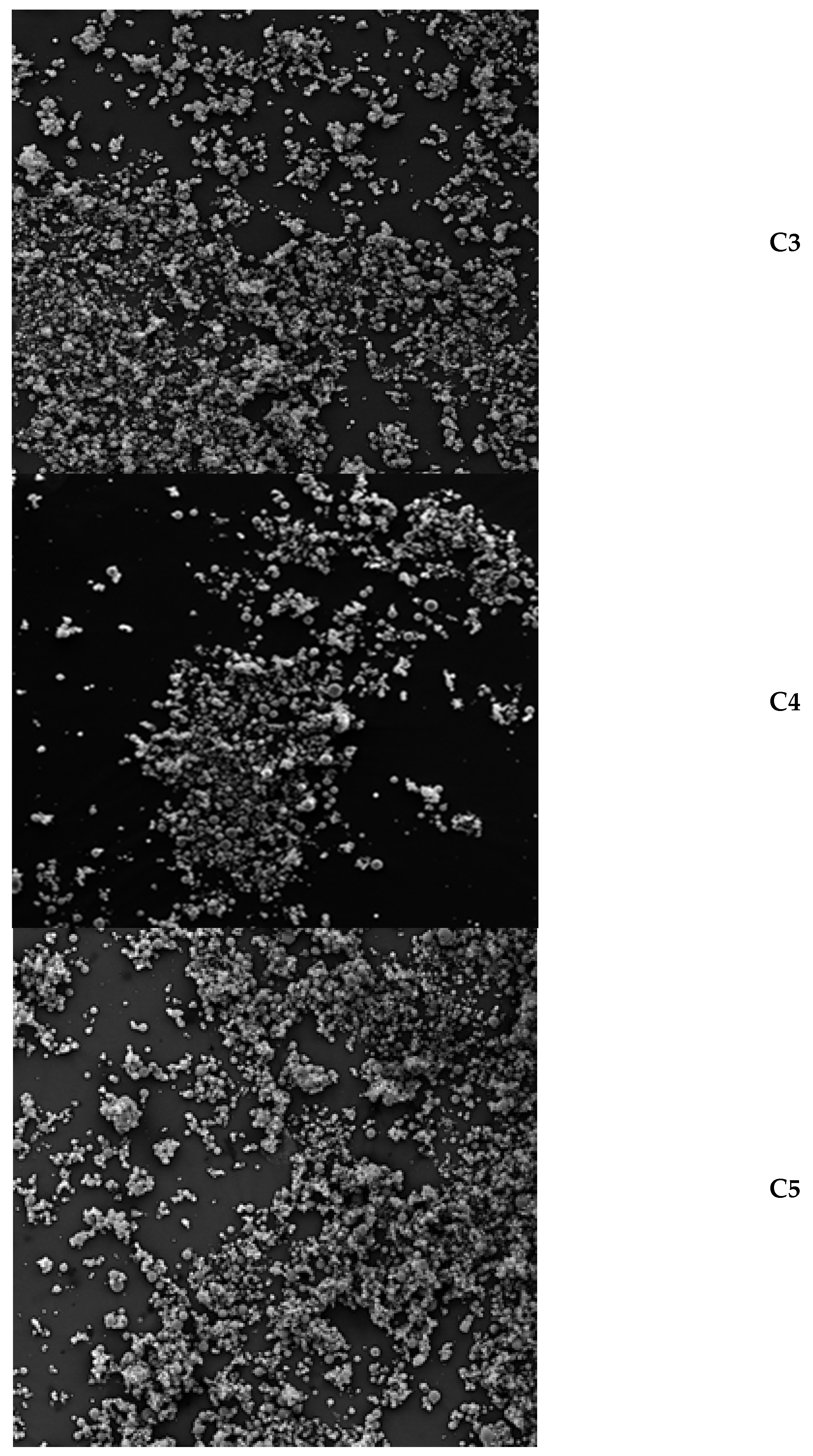 Molecules 29 03400 g001b
