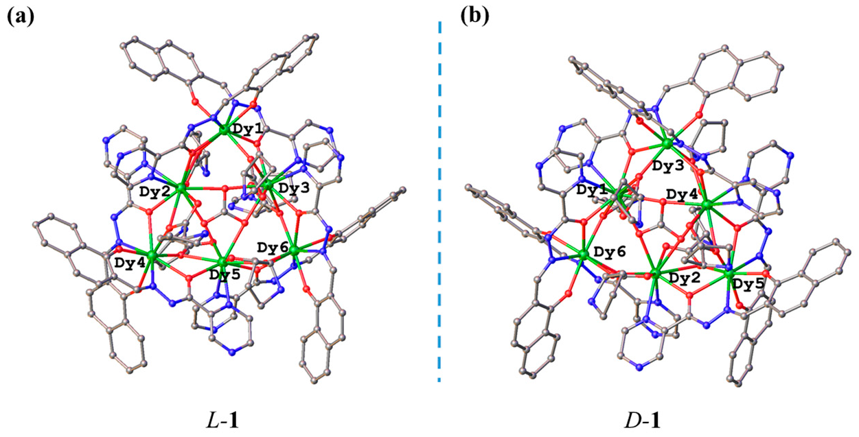 Molecules 29 03402 g001