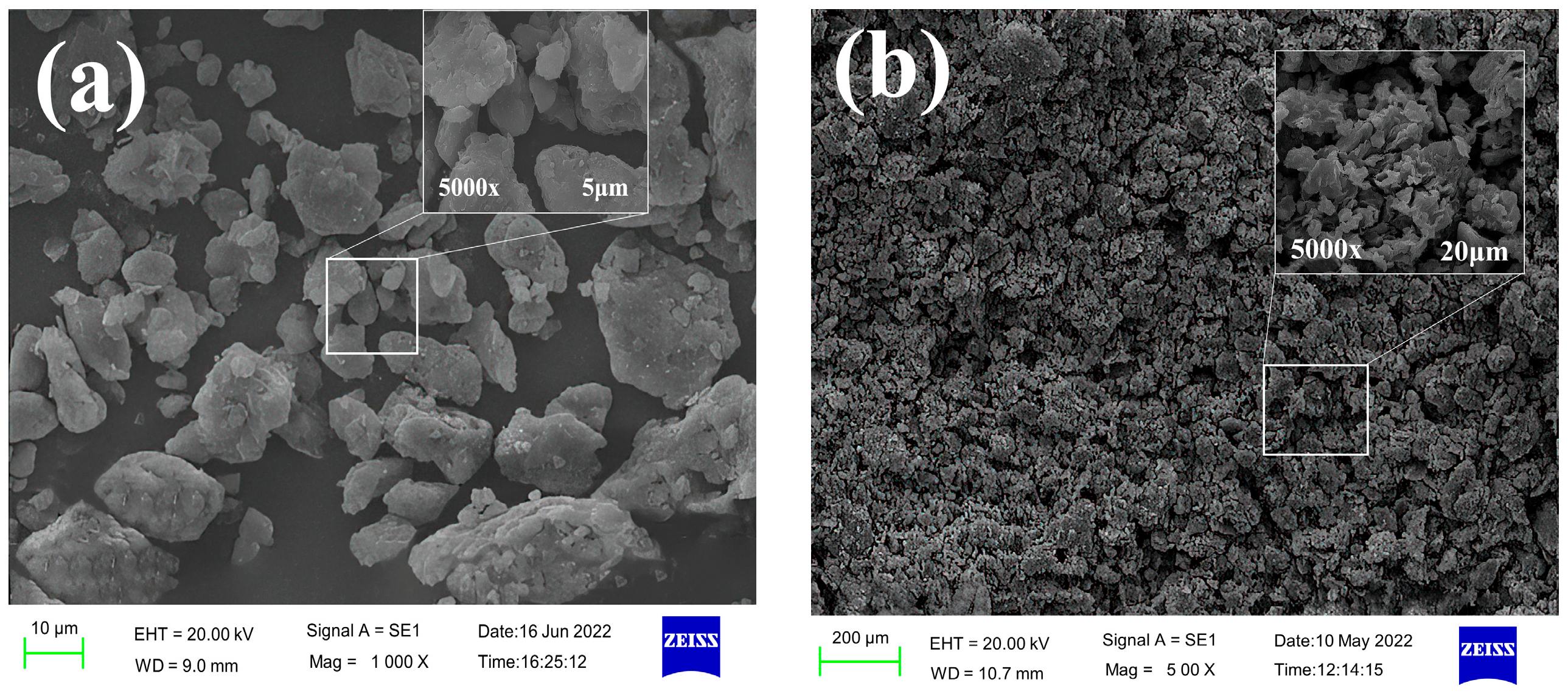 Molecules 29 03403 g012a