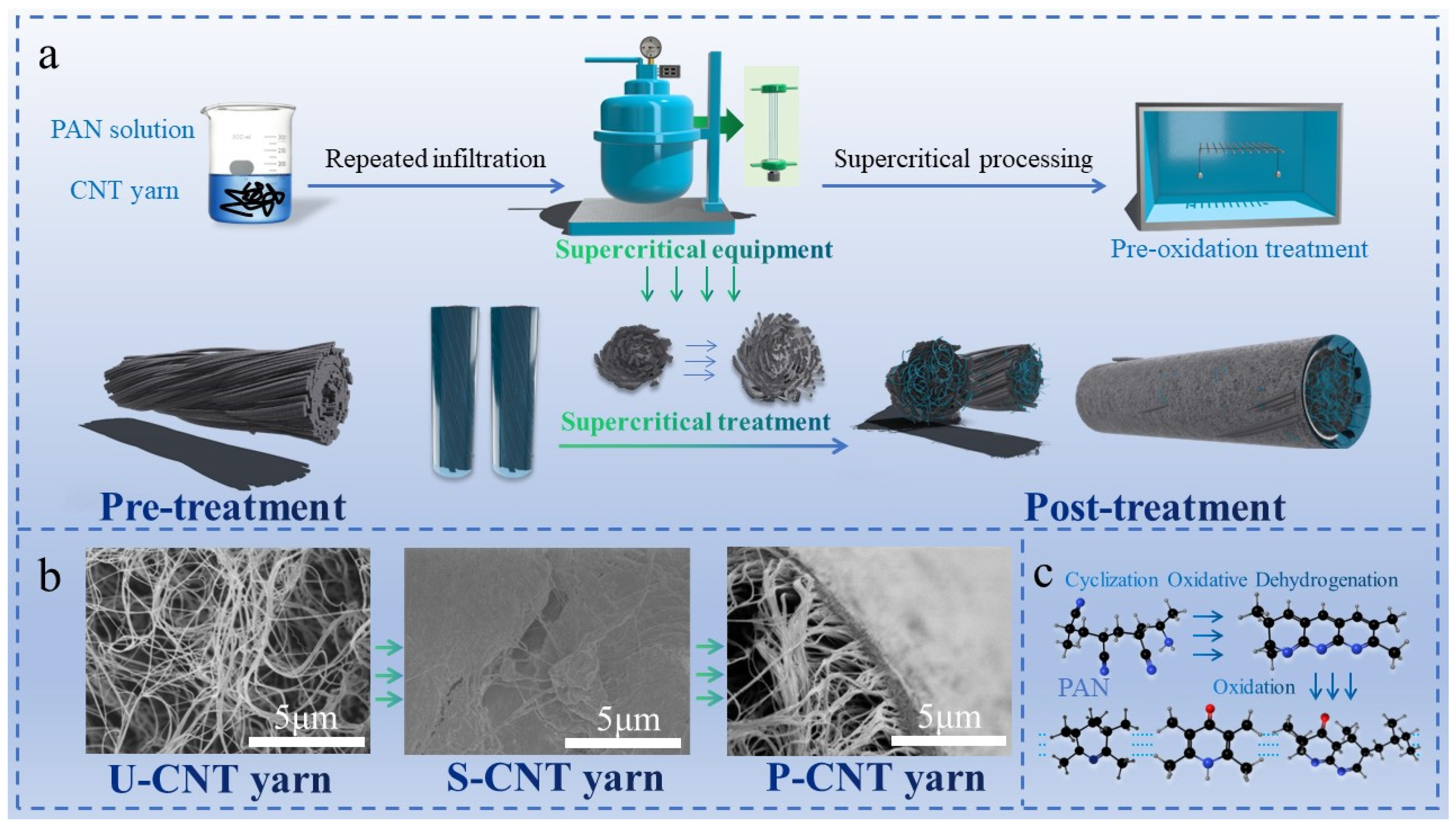 Molecules 29 03404 g001