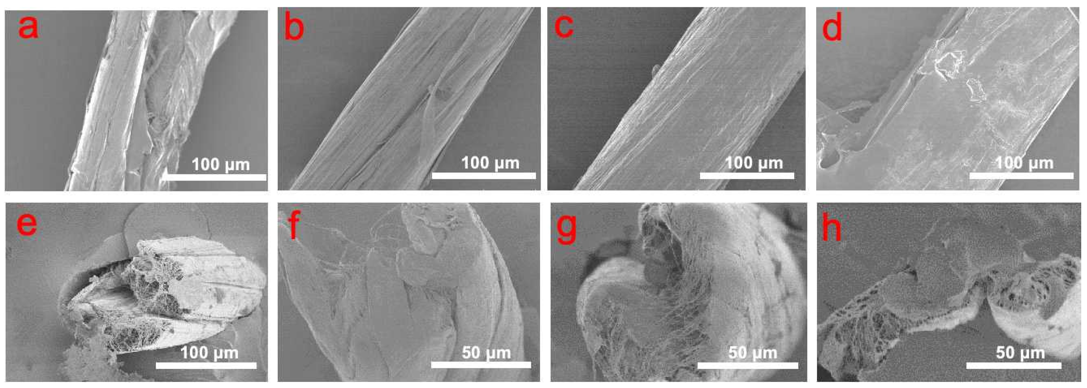 Molecules 29 03404 g002