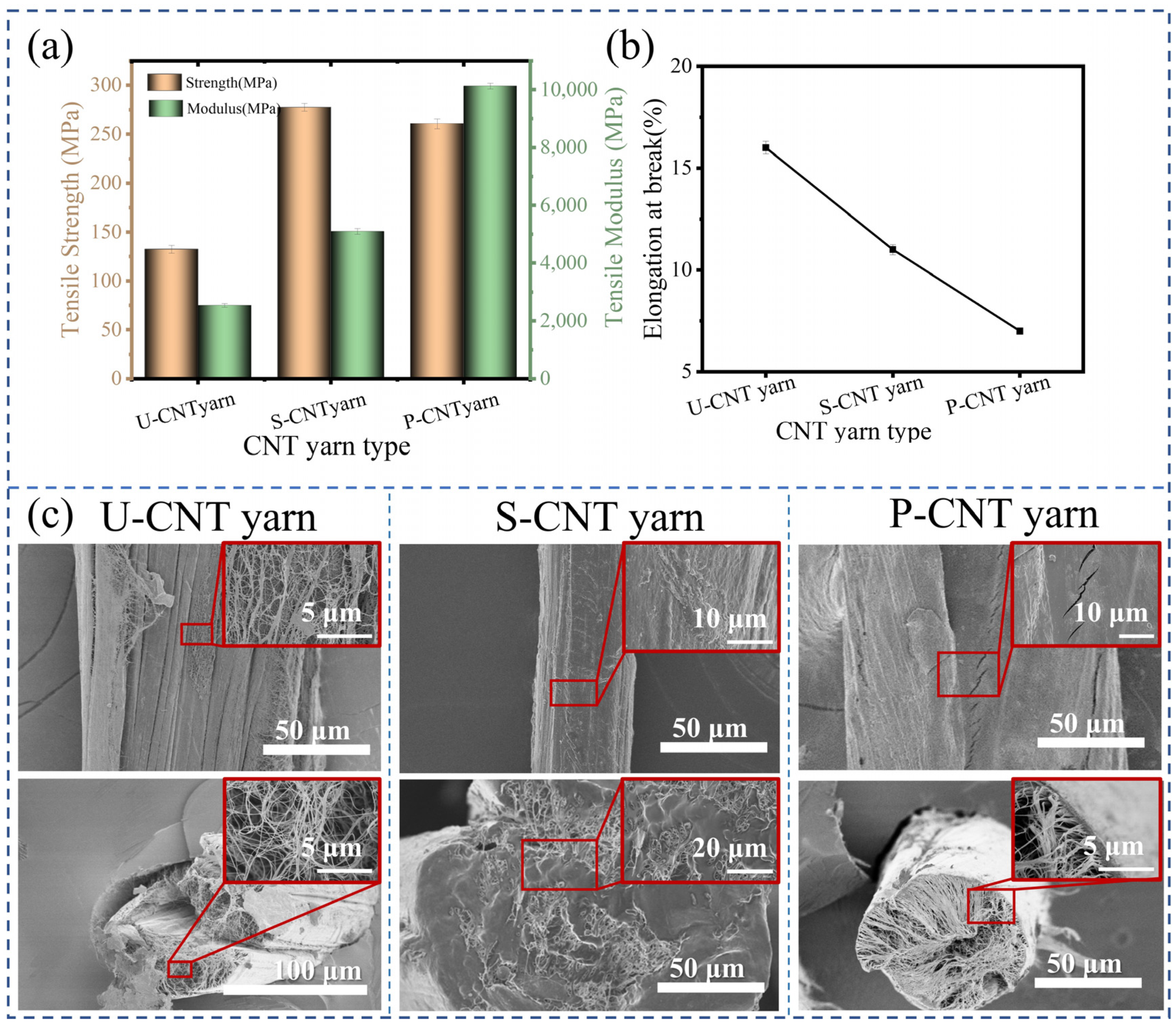 Molecules 29 03404 g007