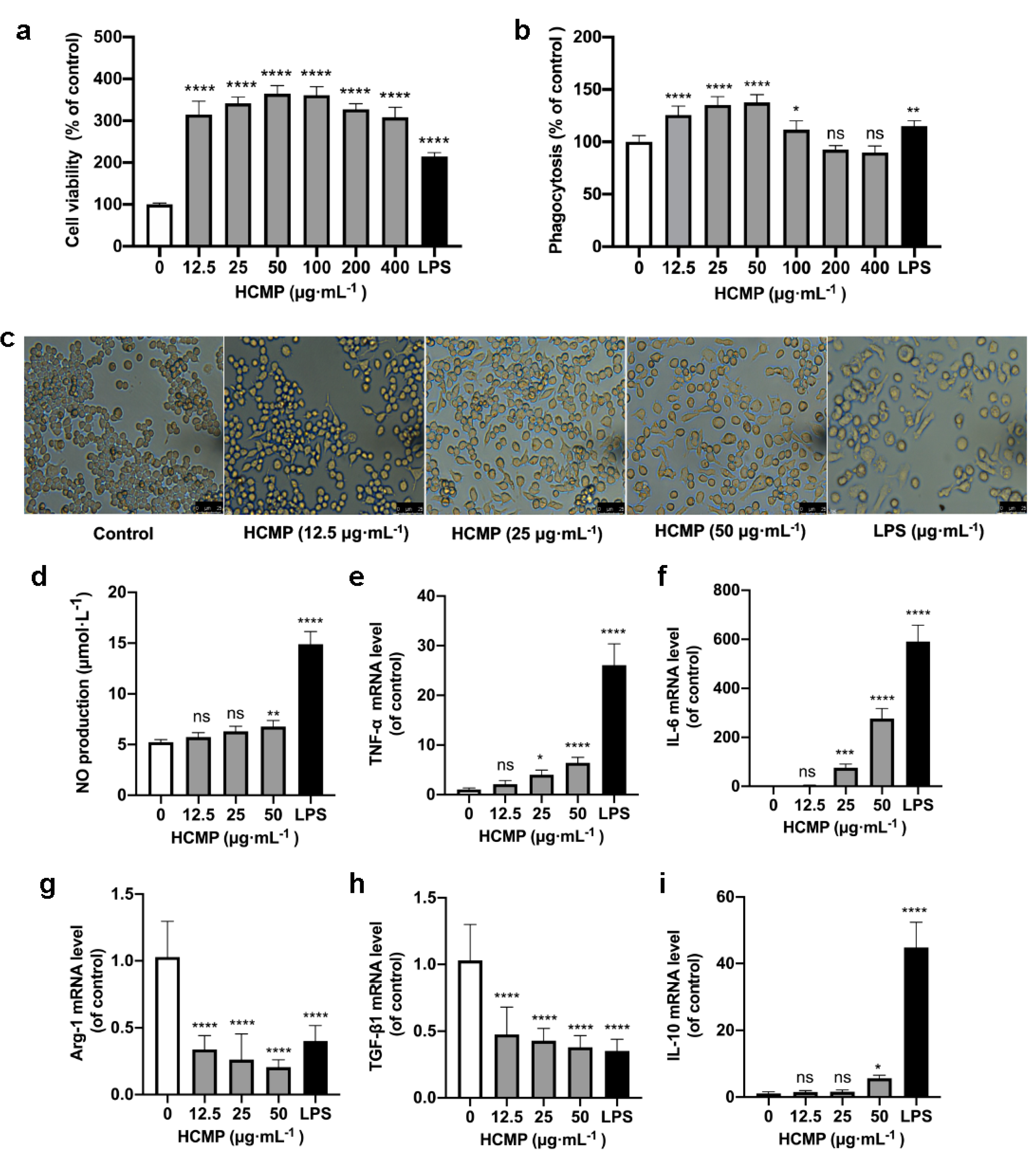 Molecules 29 03408 g002