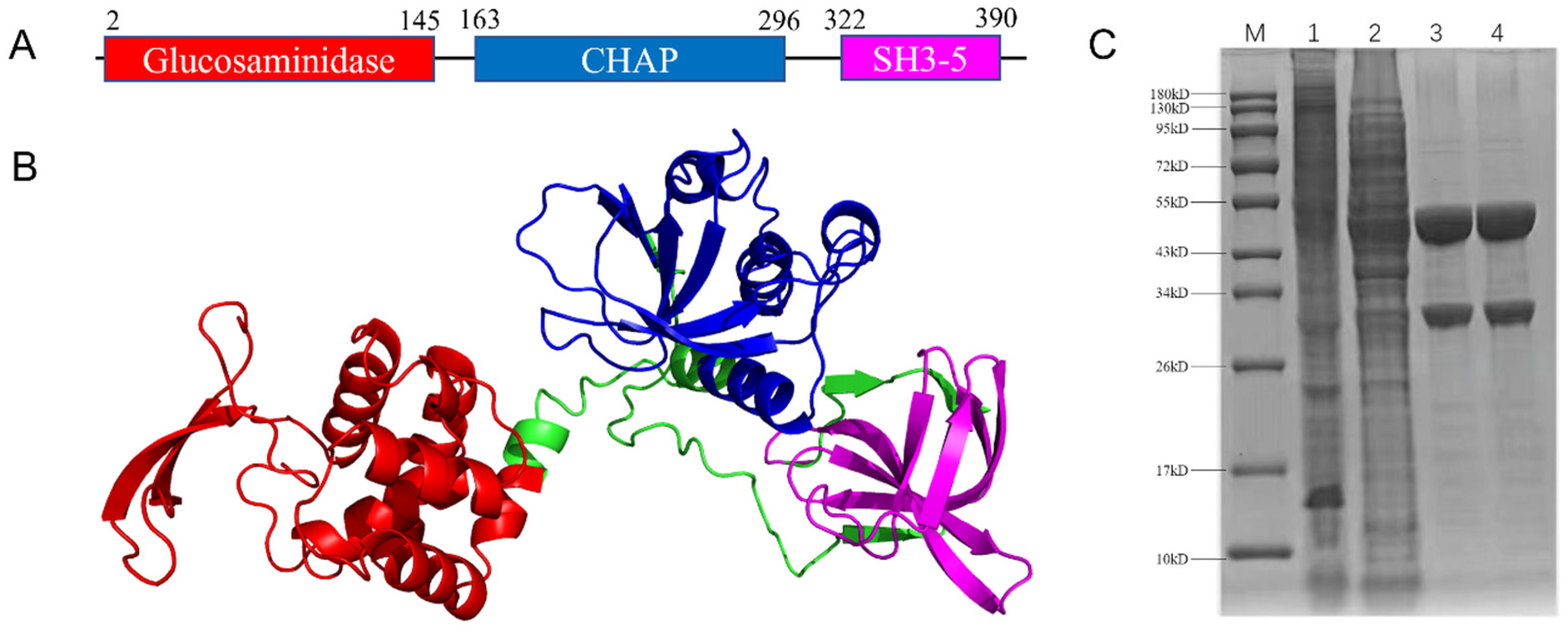Molecules 29 03411 g002