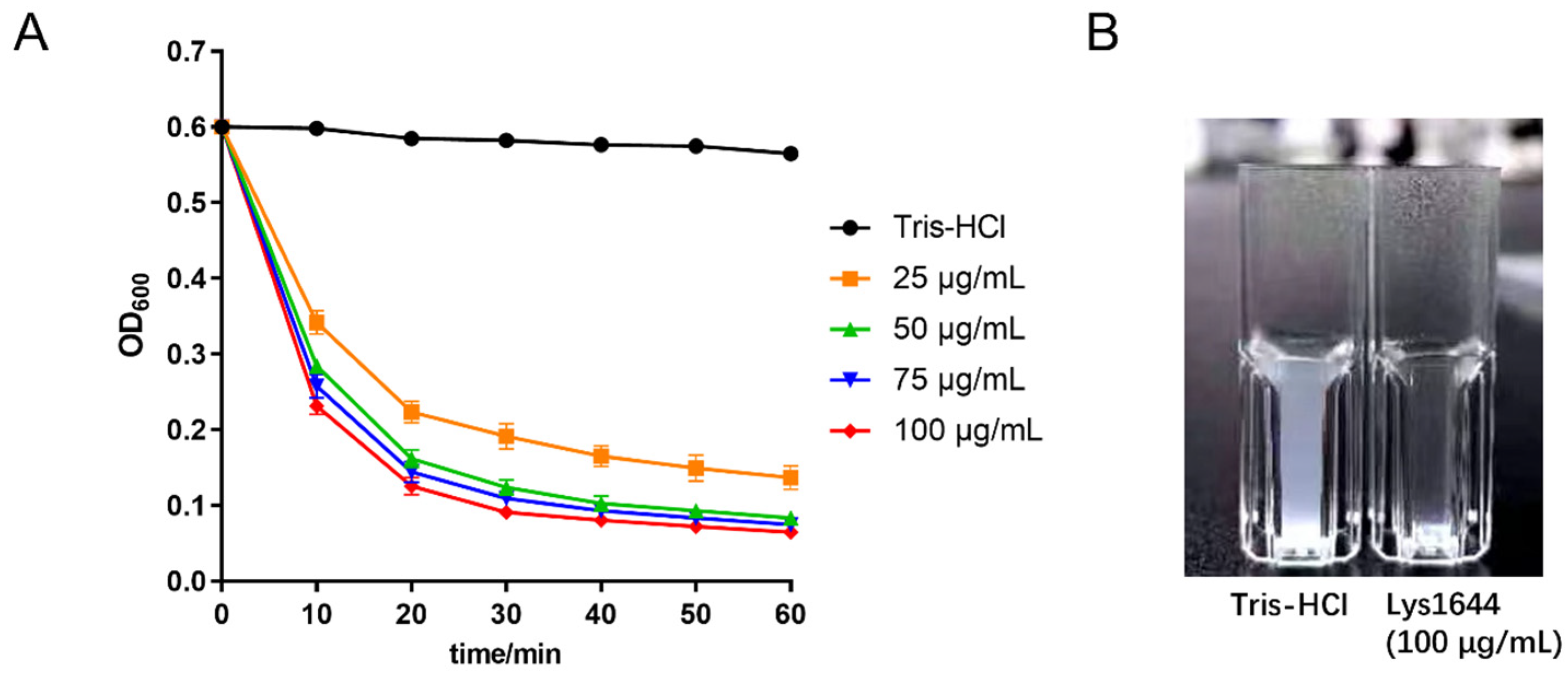 Molecules 29 03411 g003