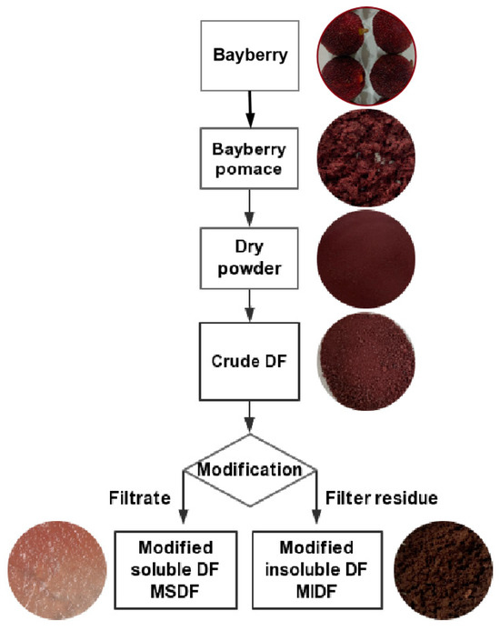 Optimization of Enzymolysis Modification Conditions of