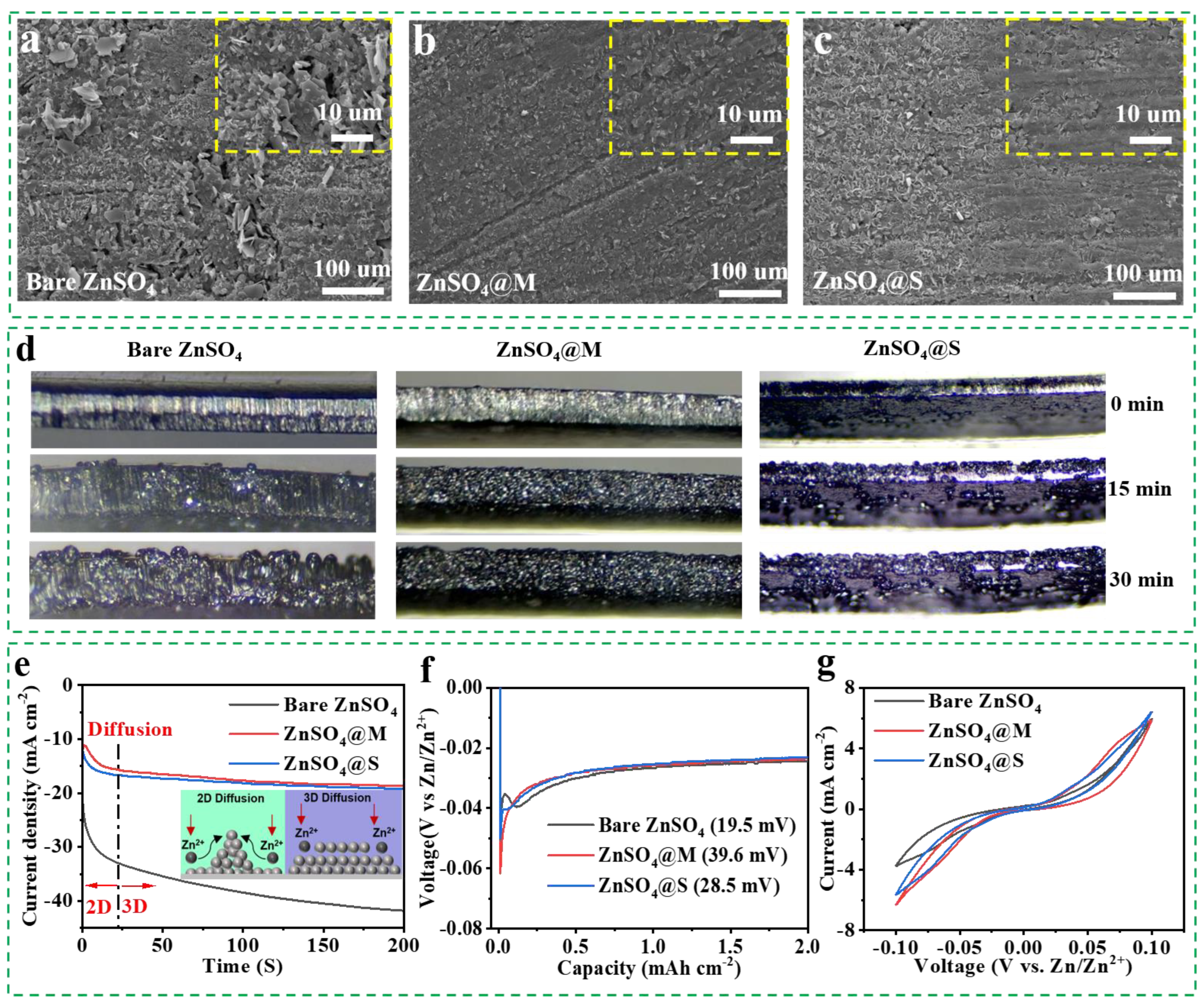 Molecules 29 03416 g004