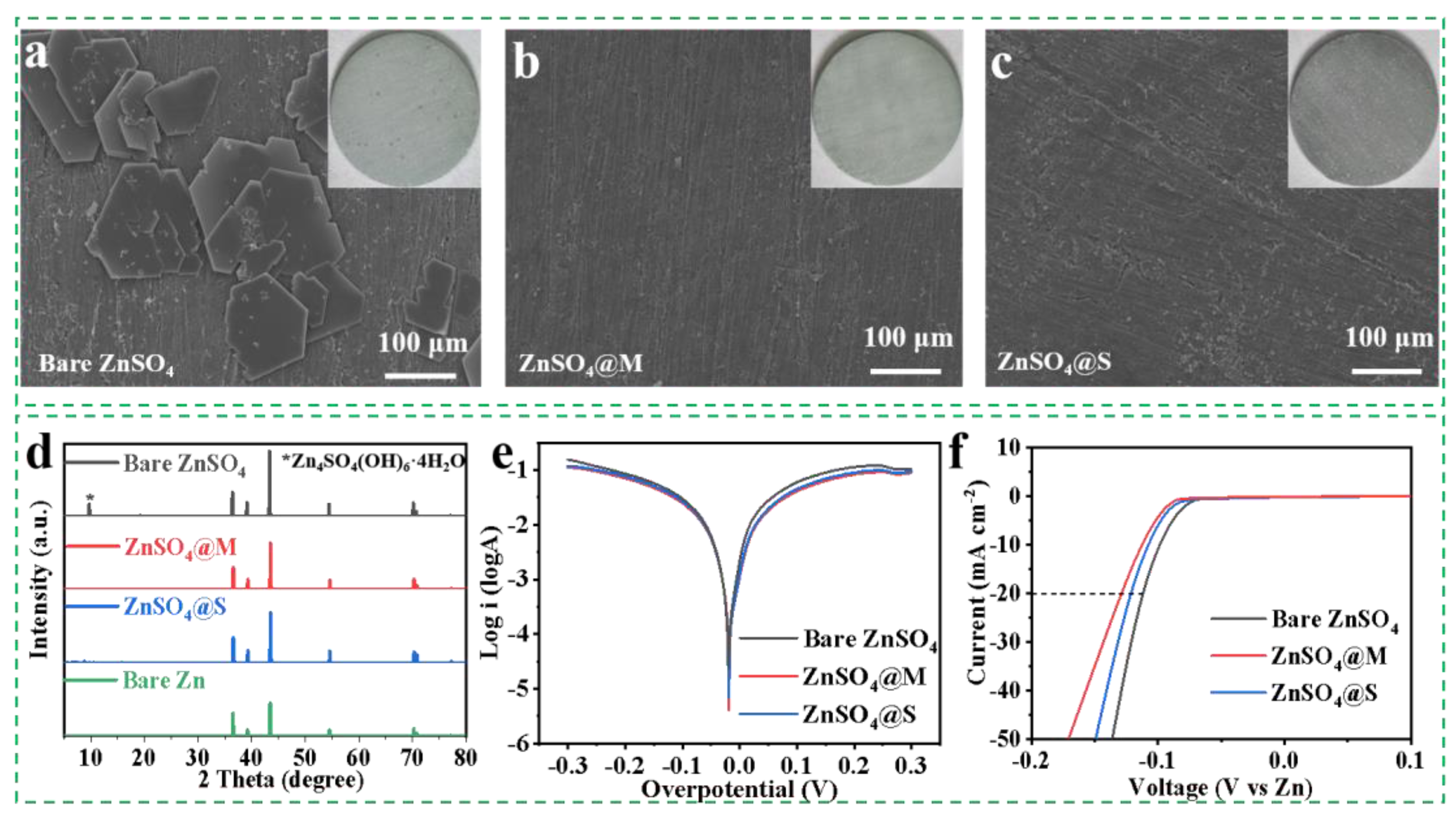 Molecules 29 03416 g005