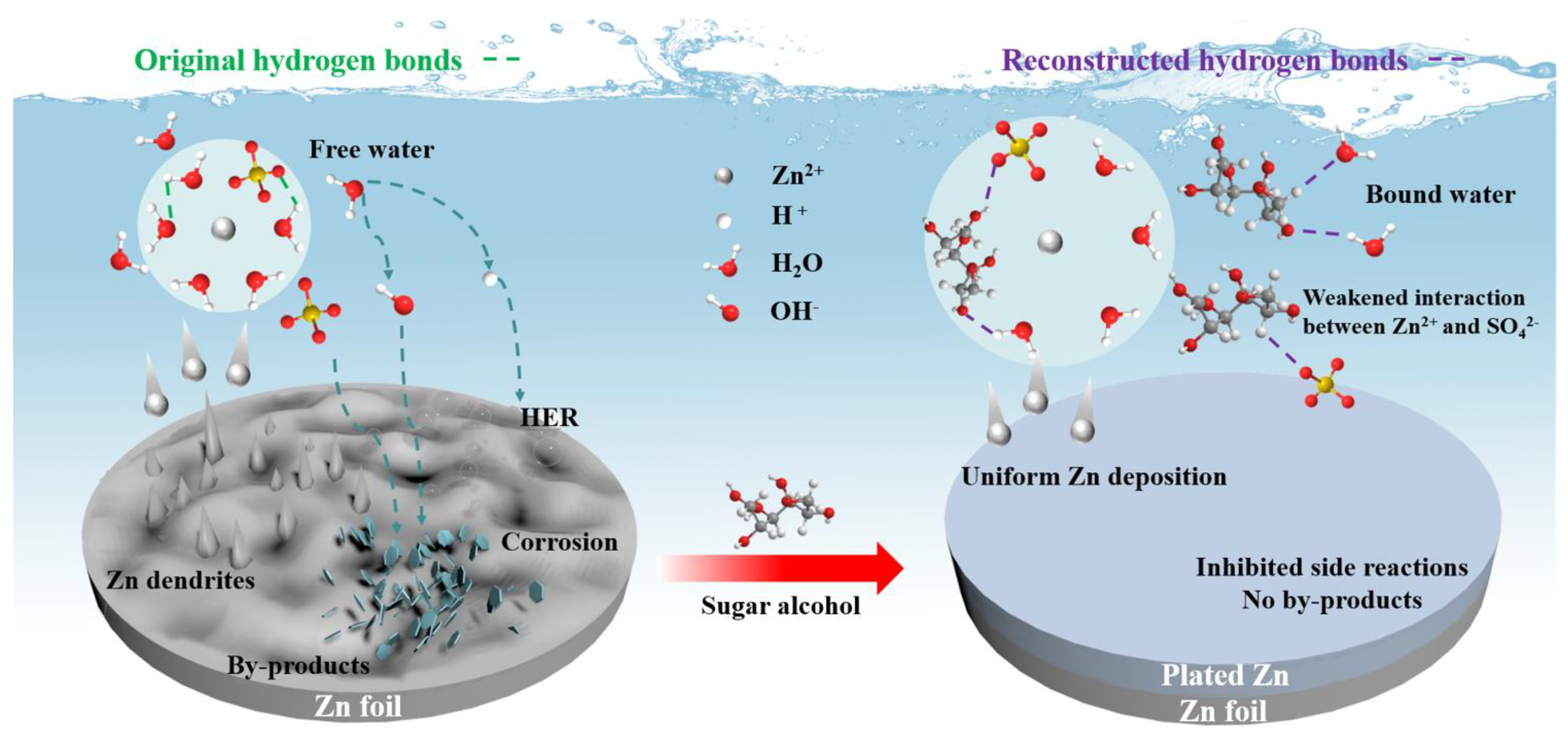 Molecules 29 03416 g006