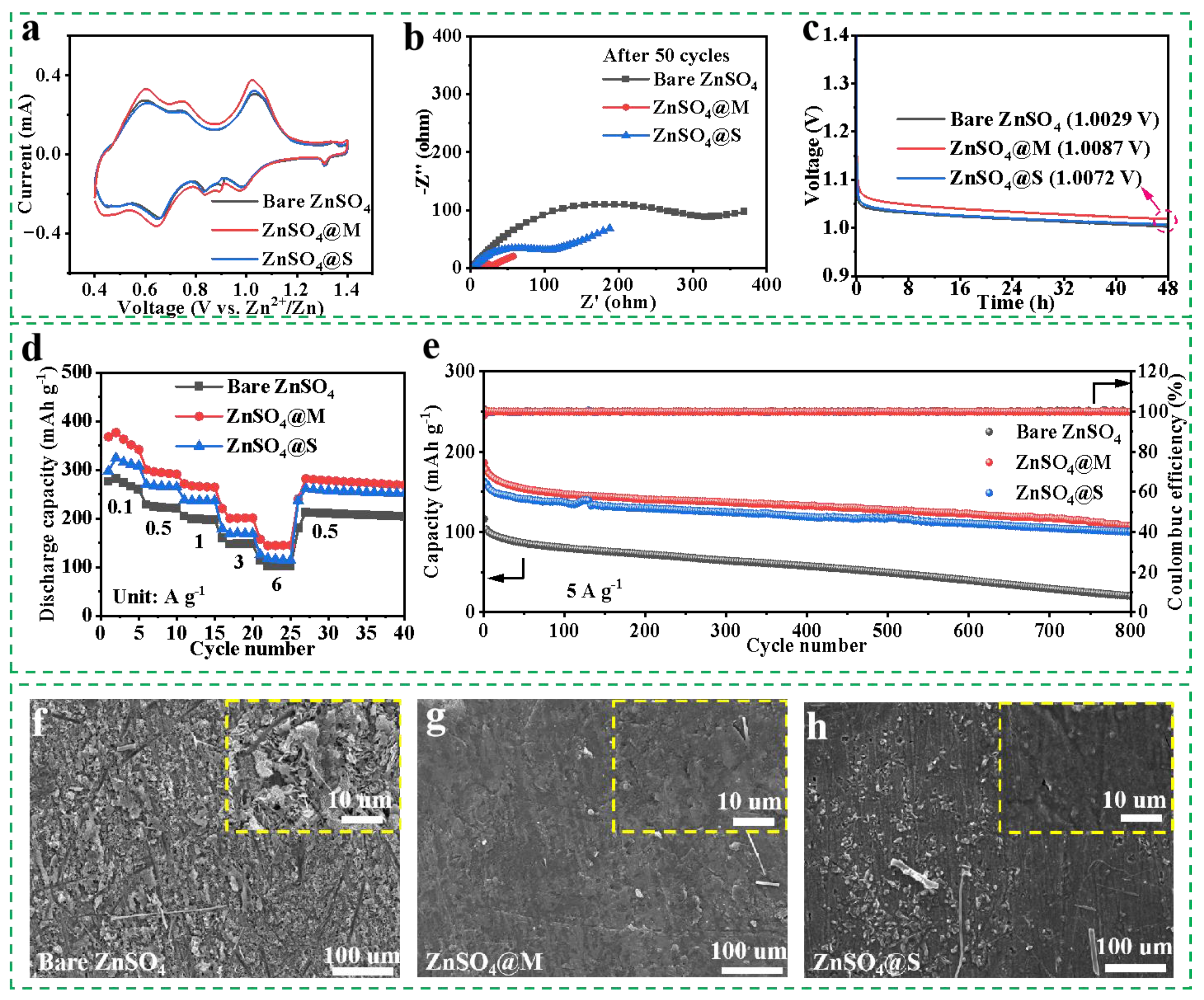 Molecules 29 03416 g007